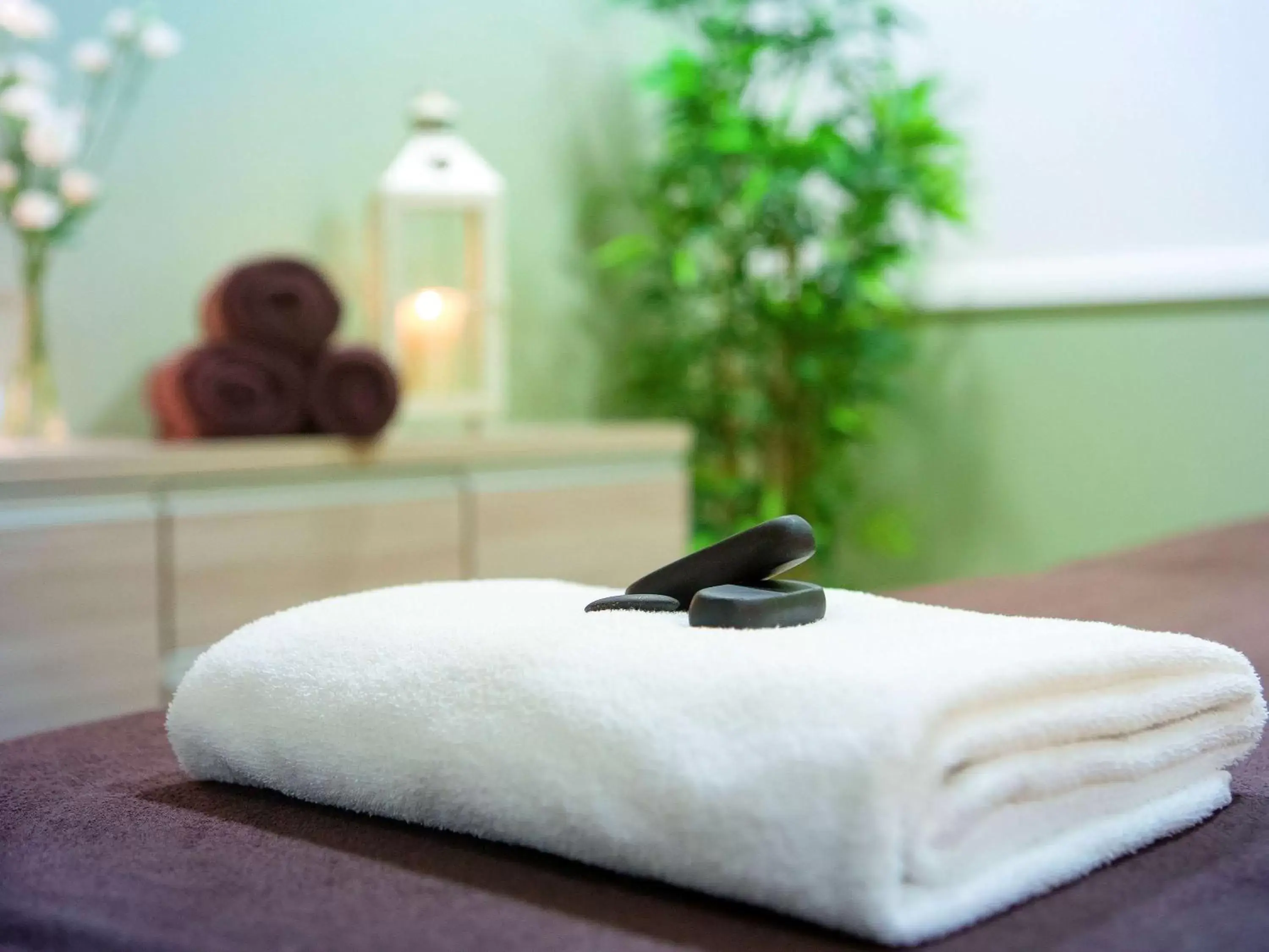 Spa and wellness centre/facilities, Other Animals in Mercure Karpacz Skalny