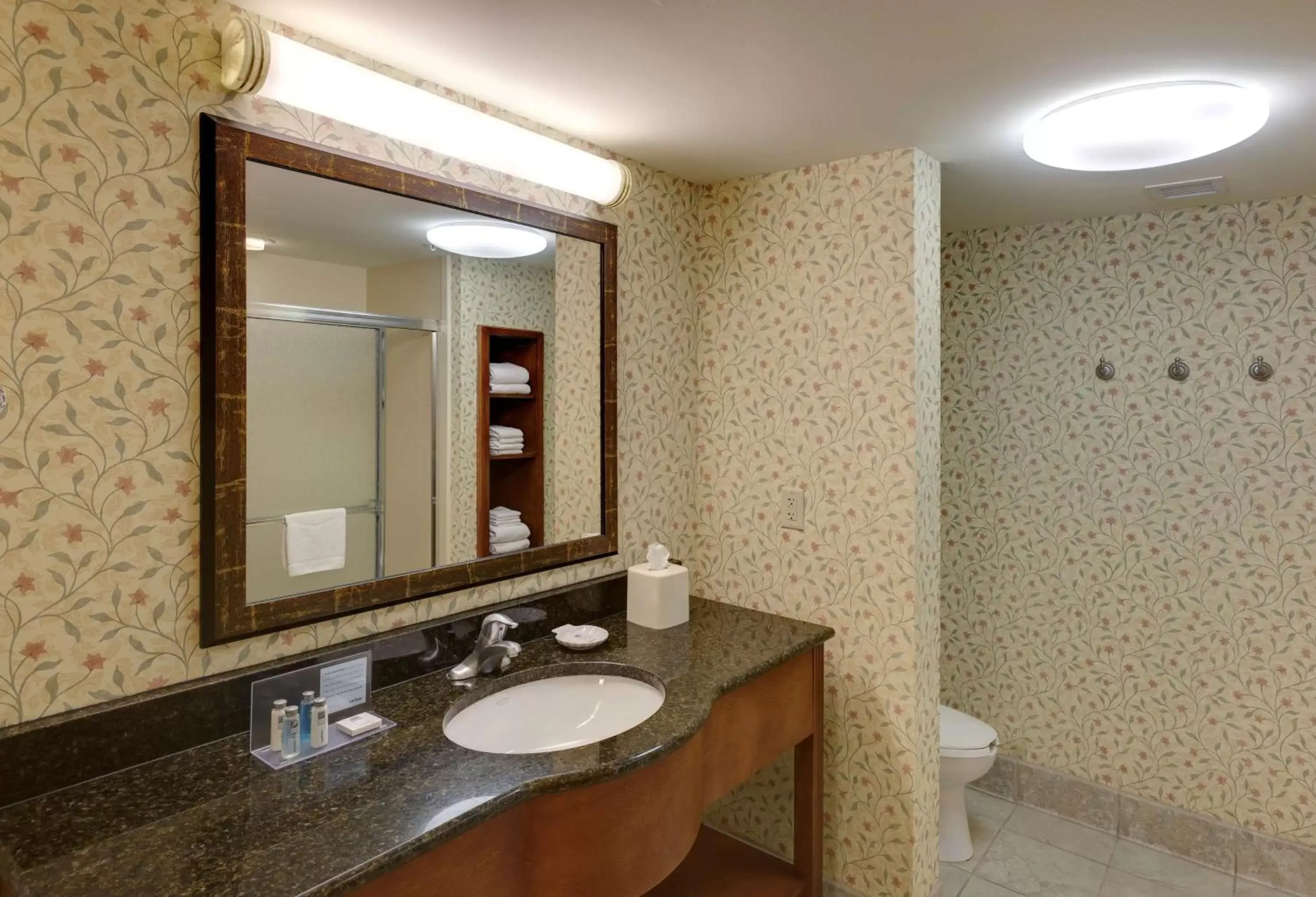 Bathroom in Hampton Inn & Suites Columbus Polaris