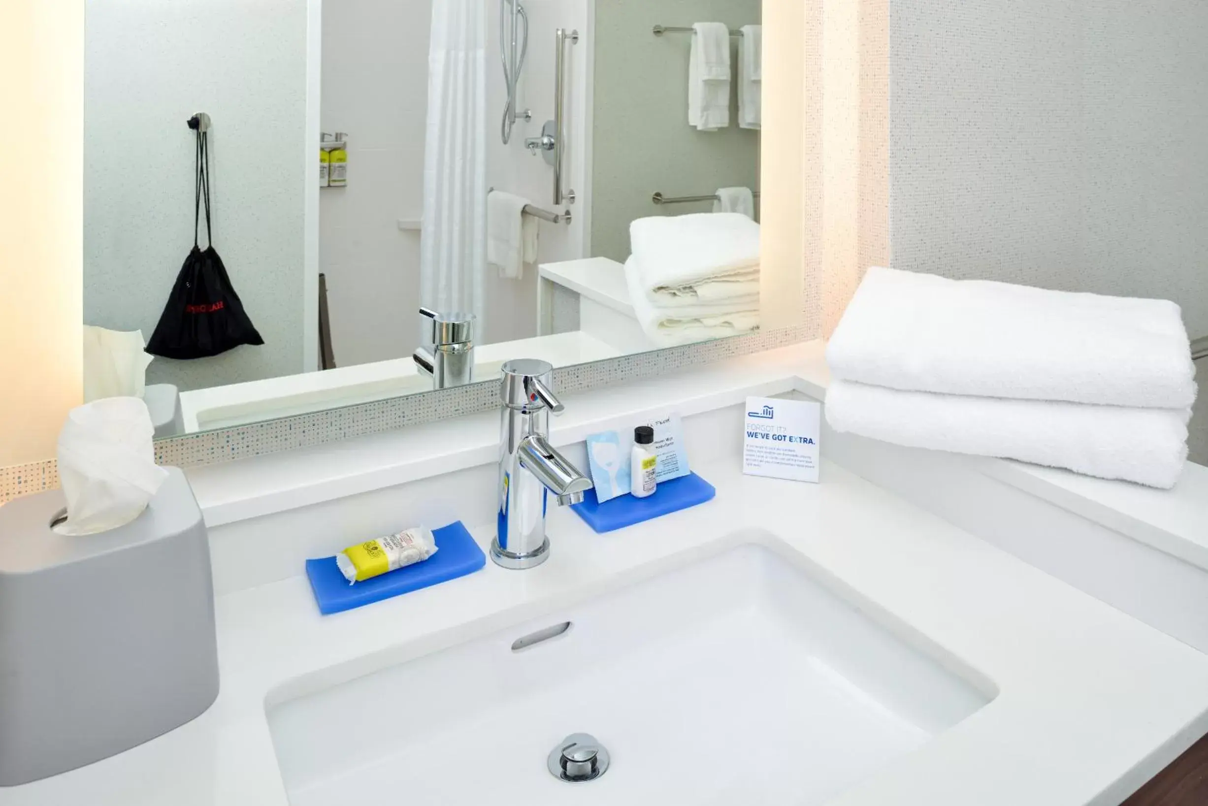 Bathroom in Holiday Inn Express & Suites - Elko, an IHG Hotel