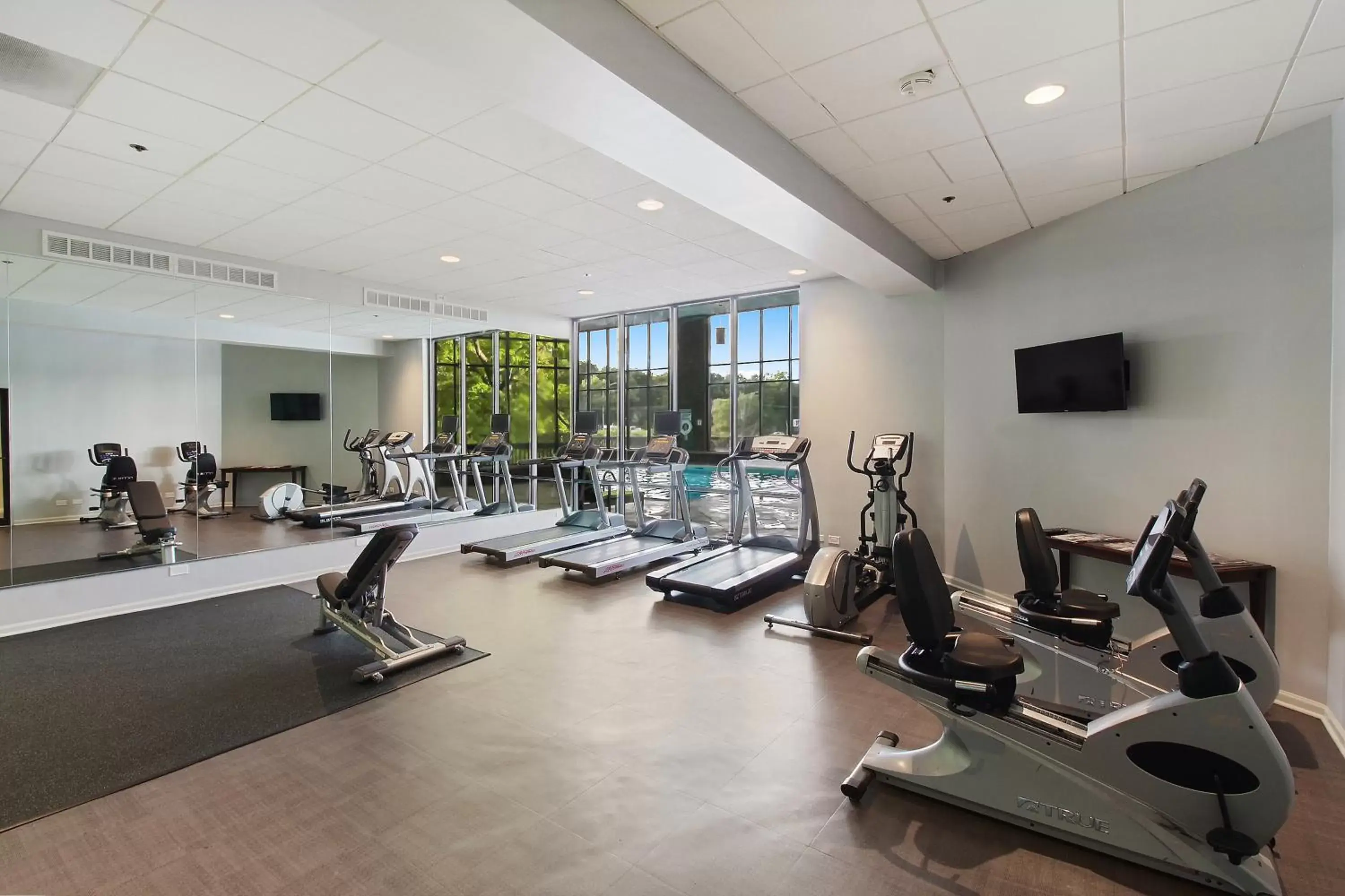 Fitness centre/facilities, Fitness Center/Facilities in Holiday Inn Chicago Nw Crystal Lk Conv Ctr, an IHG Hotel