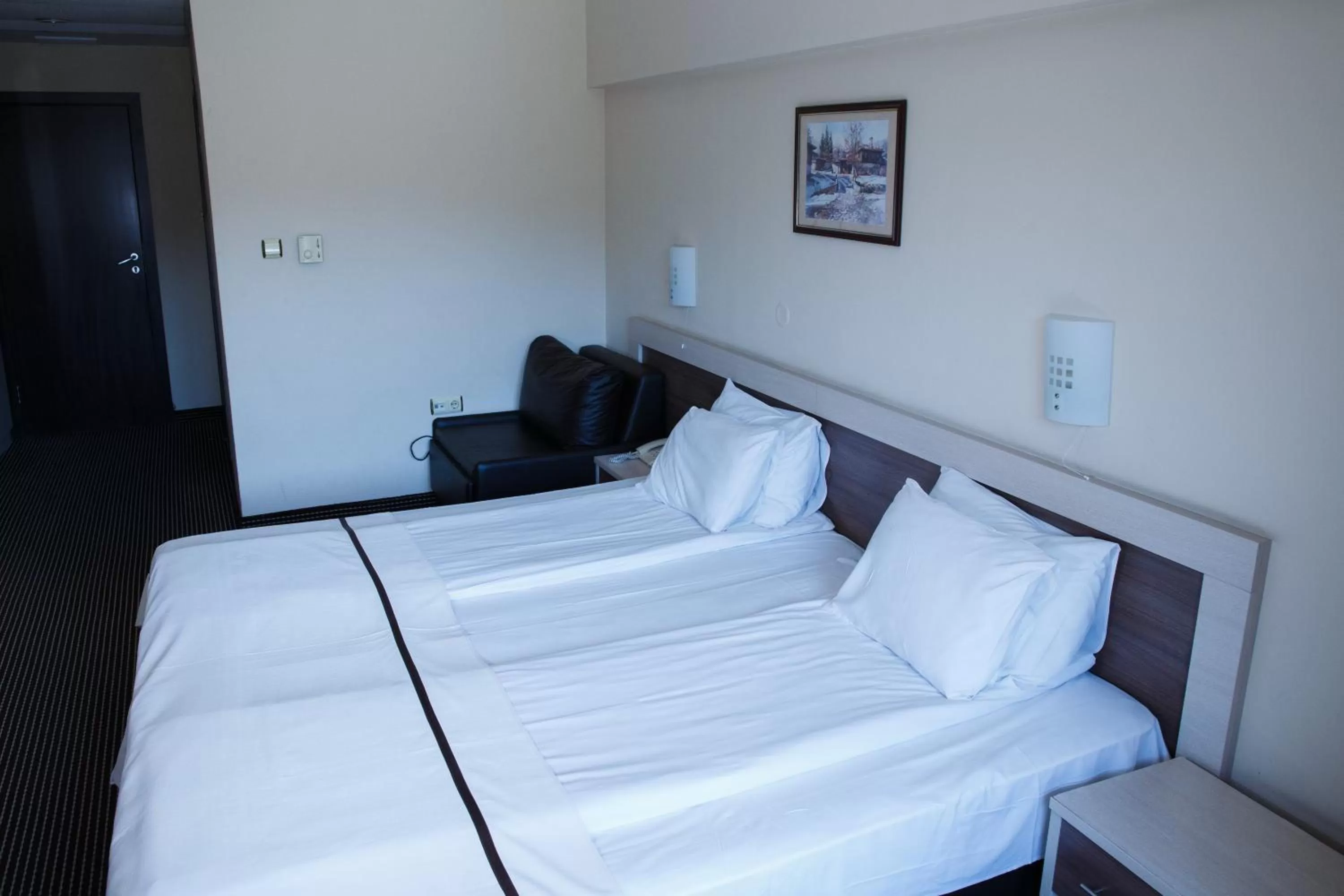 Photo of the whole room, Bed in Spa Hotel Kleptuza