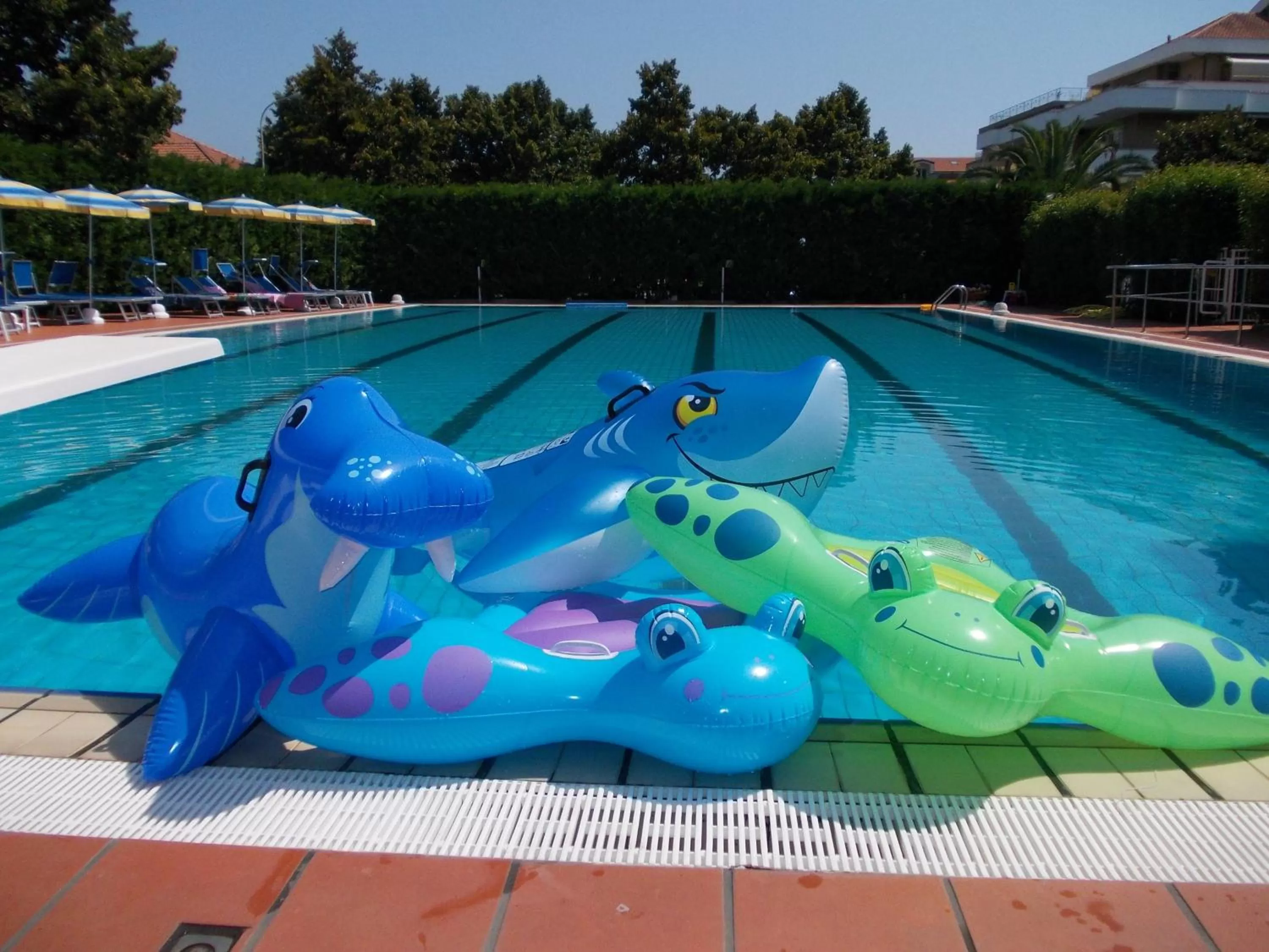 Swimming pool in Residence Aurora Wellness & Spa