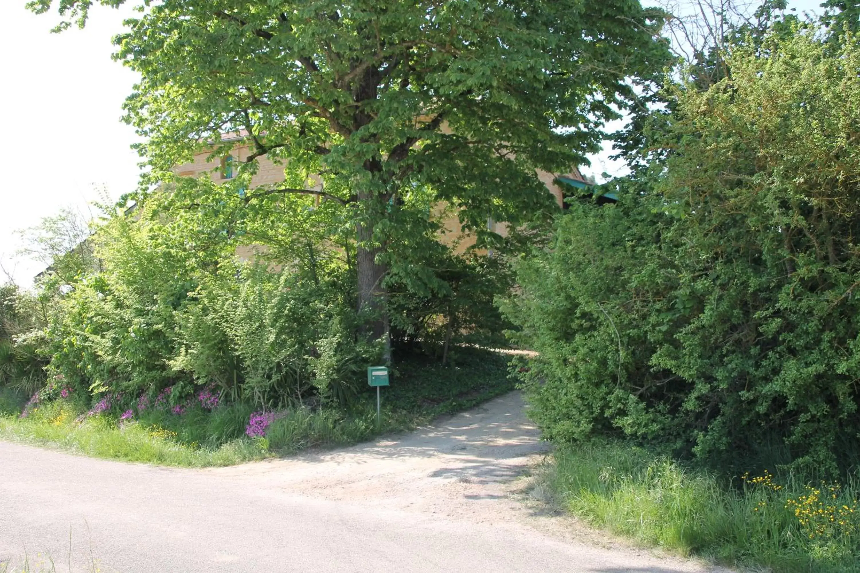 Property building, Garden in Les Terrasses des Mimosas