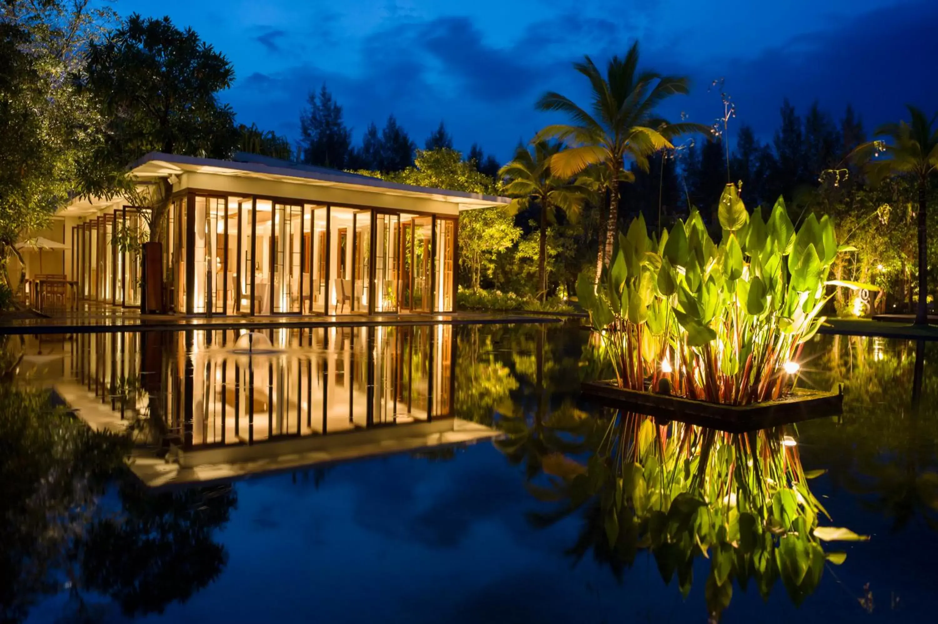 Restaurant/places to eat in The Sarojin Restaurant/places to eat in The Sarojin