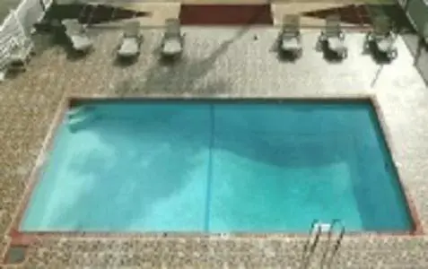 Swimming pool, Pool View in Sea Shell Inn Motel