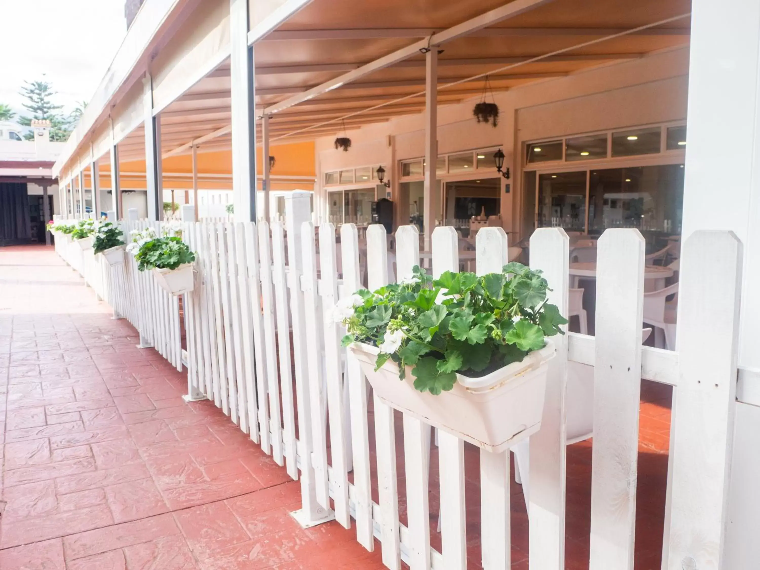 Restaurant/places to eat, Banquet Facilities in Complejo Blue Sea Puerto Resort compuesto por Hotel Canarife y Bonanza Palace