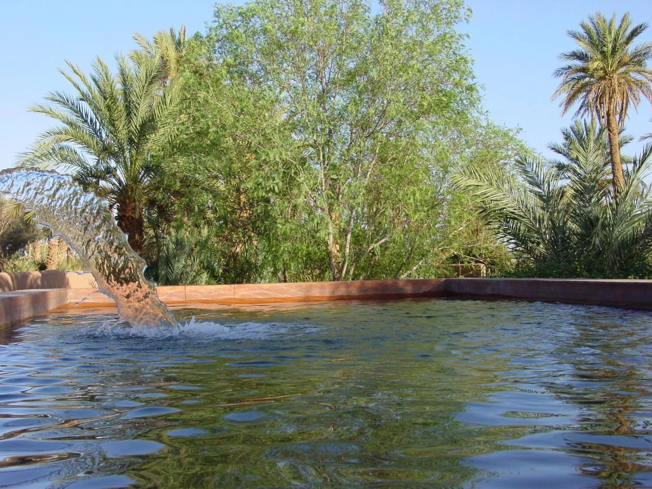 Swimming pool in Dar Paru