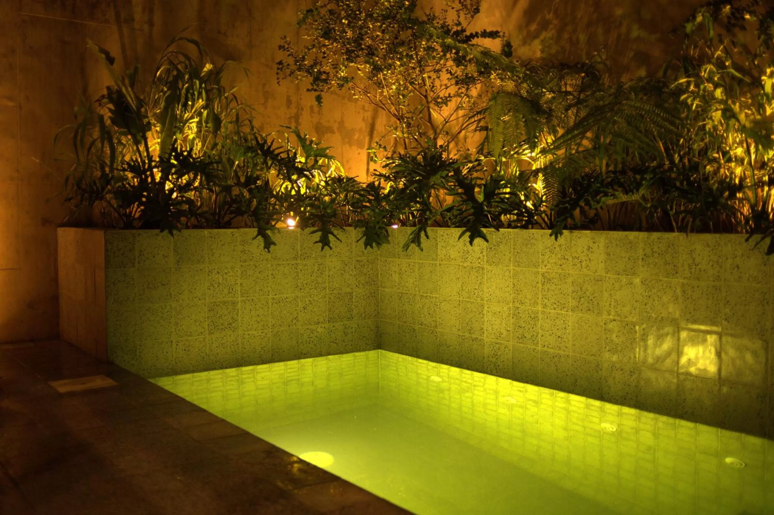 Swimming pool in Hotel Coco