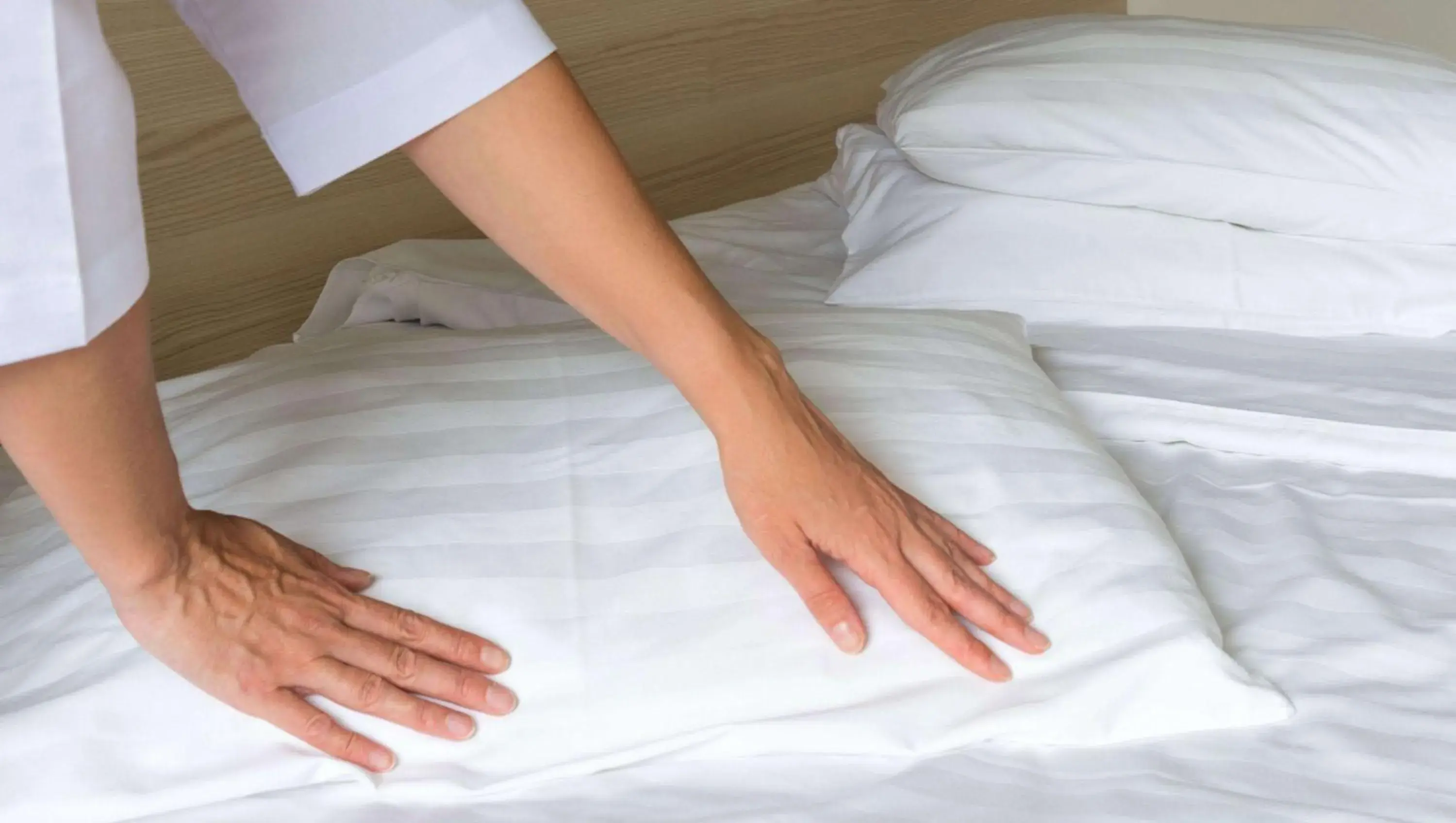 Photo of the whole room, Bed in Magnuson Hotel Jacksonville Downtown Photo of the whole room, Bed in Magnuson Hotel Jacksonville Downtown