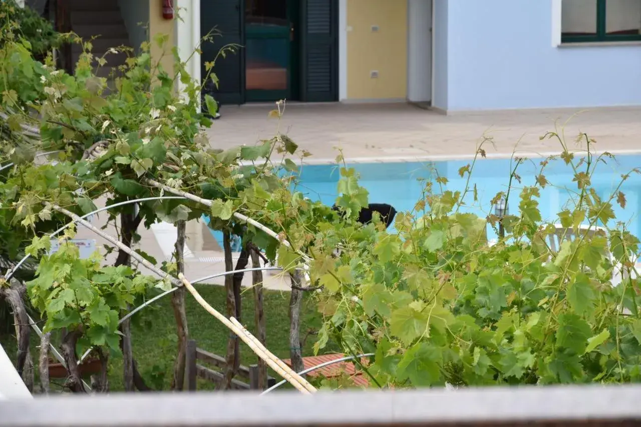 Swimming Pool in Hotel Ariadimari