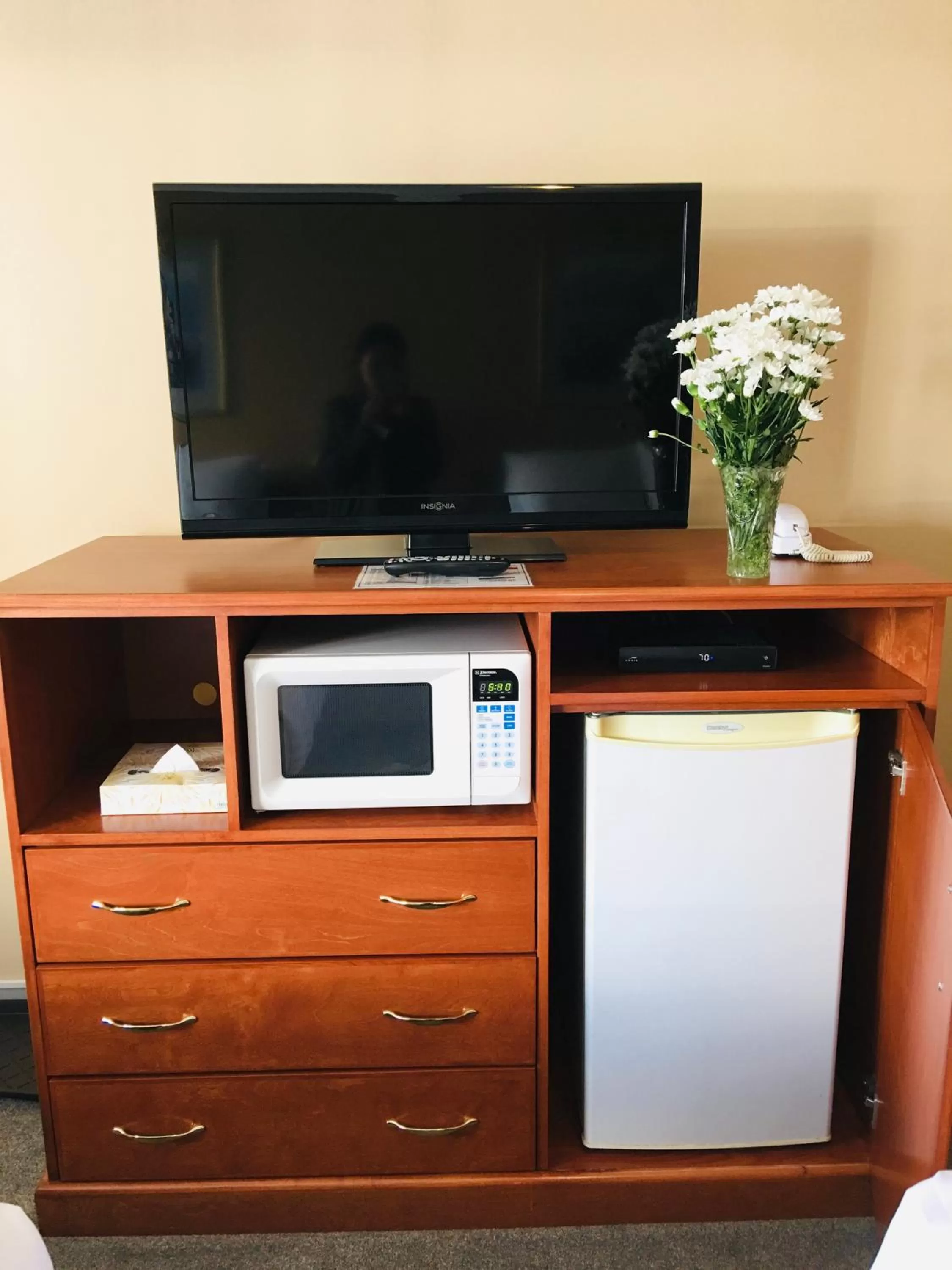 TV and multimedia in Thunderbird Motor Inn