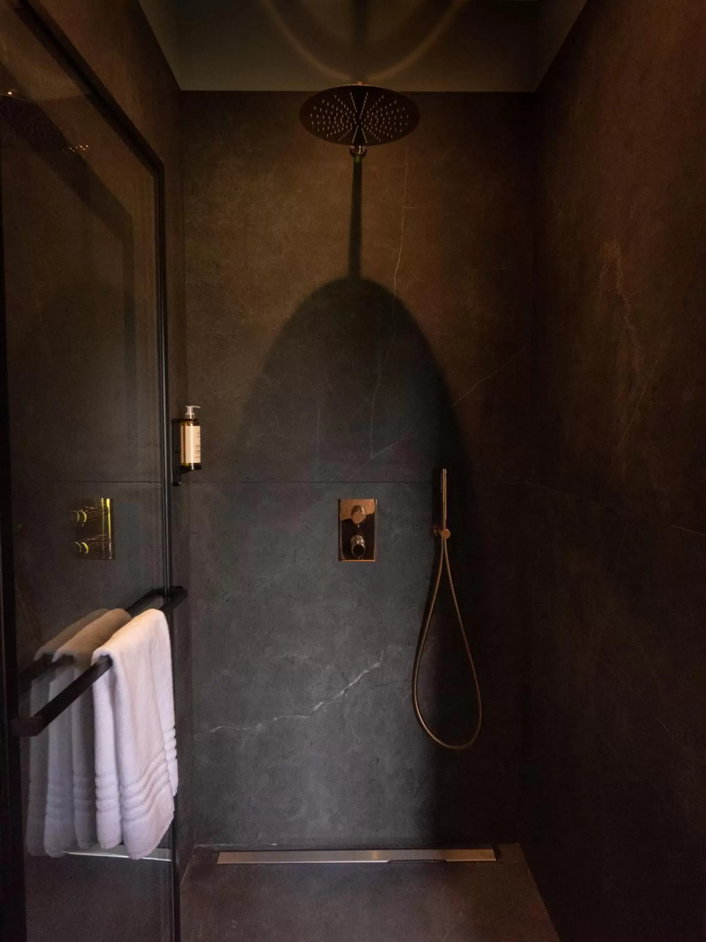 Shower, Bathroom in Hôtel Maison Pavlov