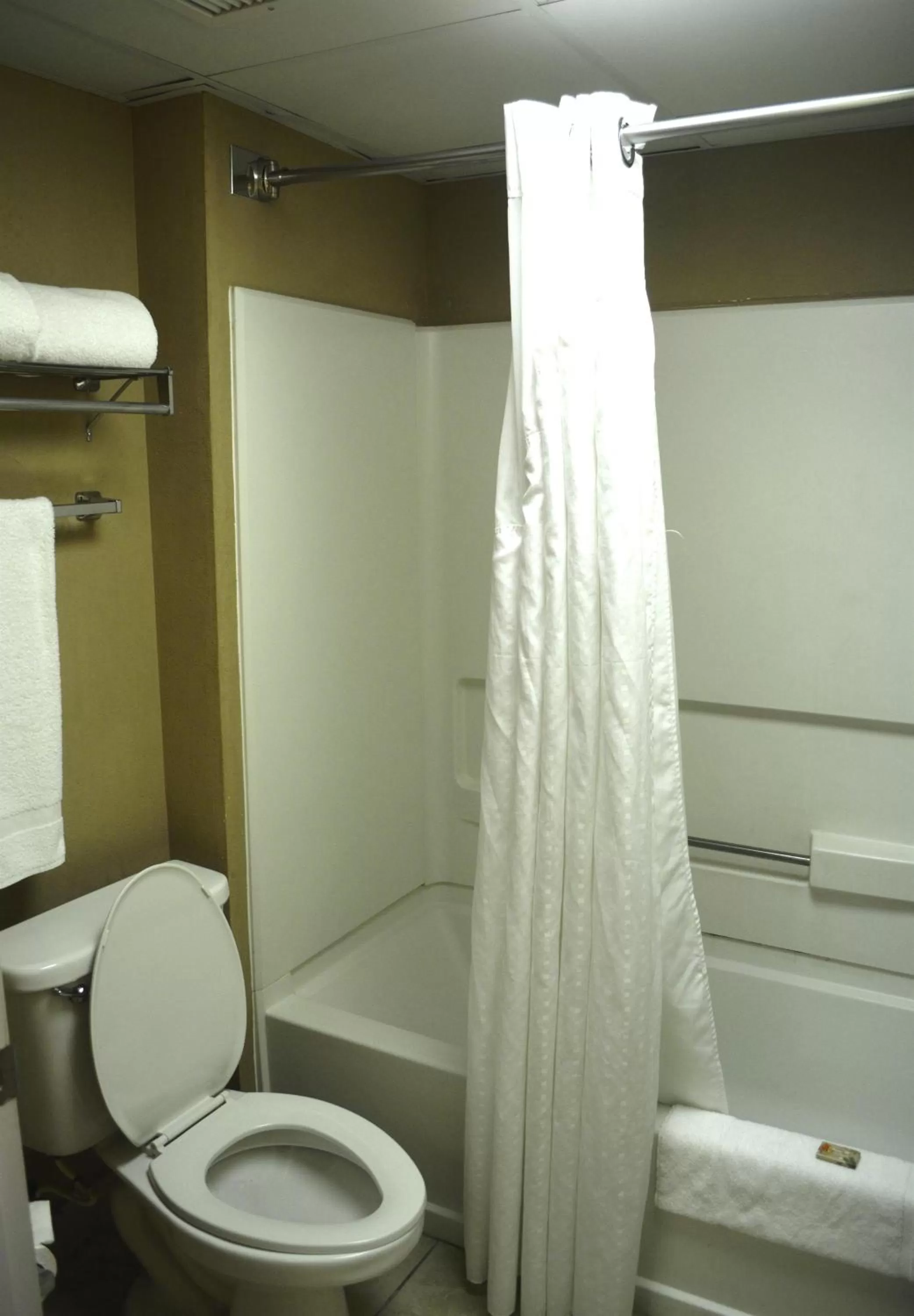 Bathroom in SureStay Plus Hotel by Best Western Roanoke Rapids I-95