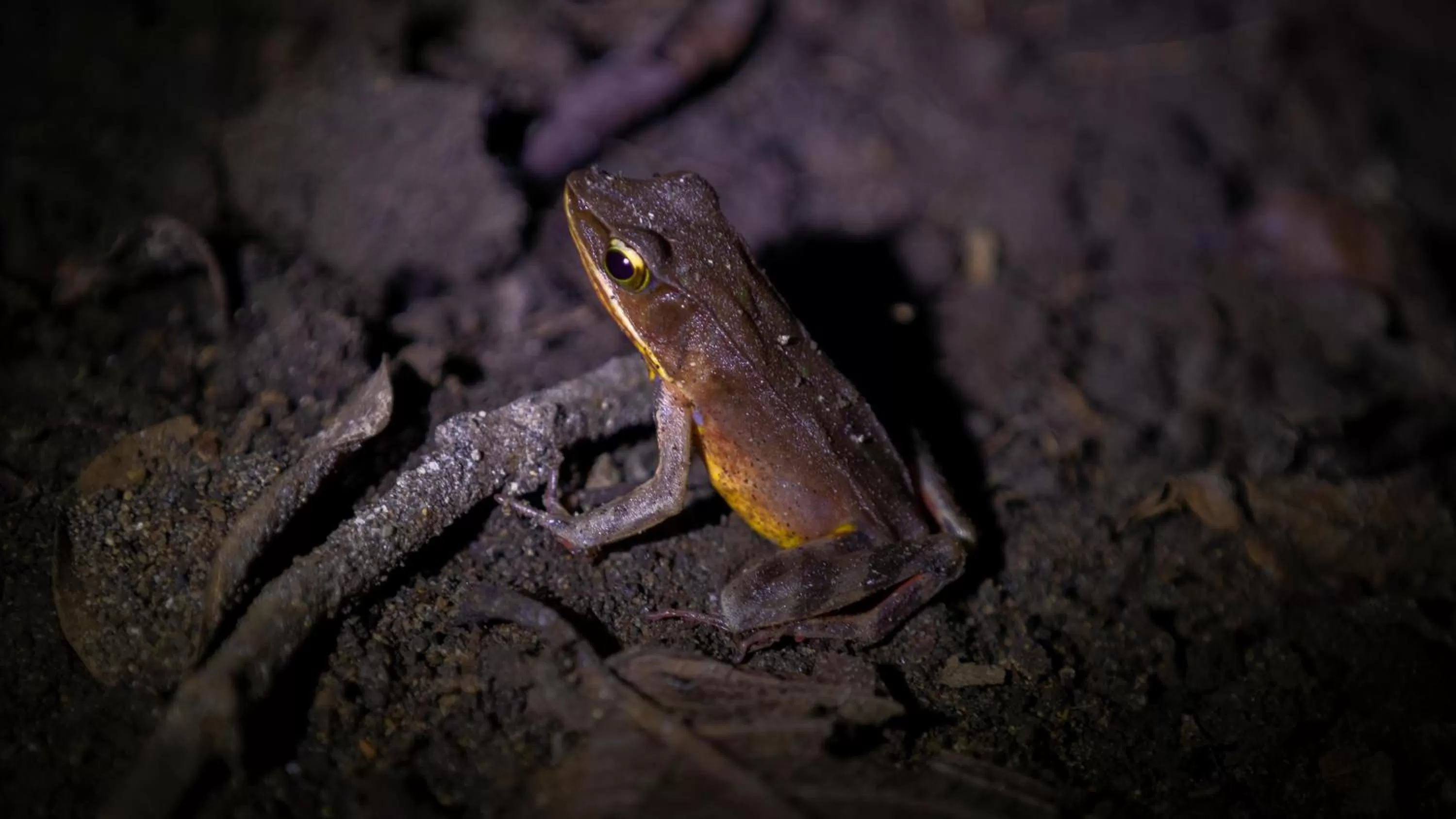 Hotel Rancho Cerro Azul
