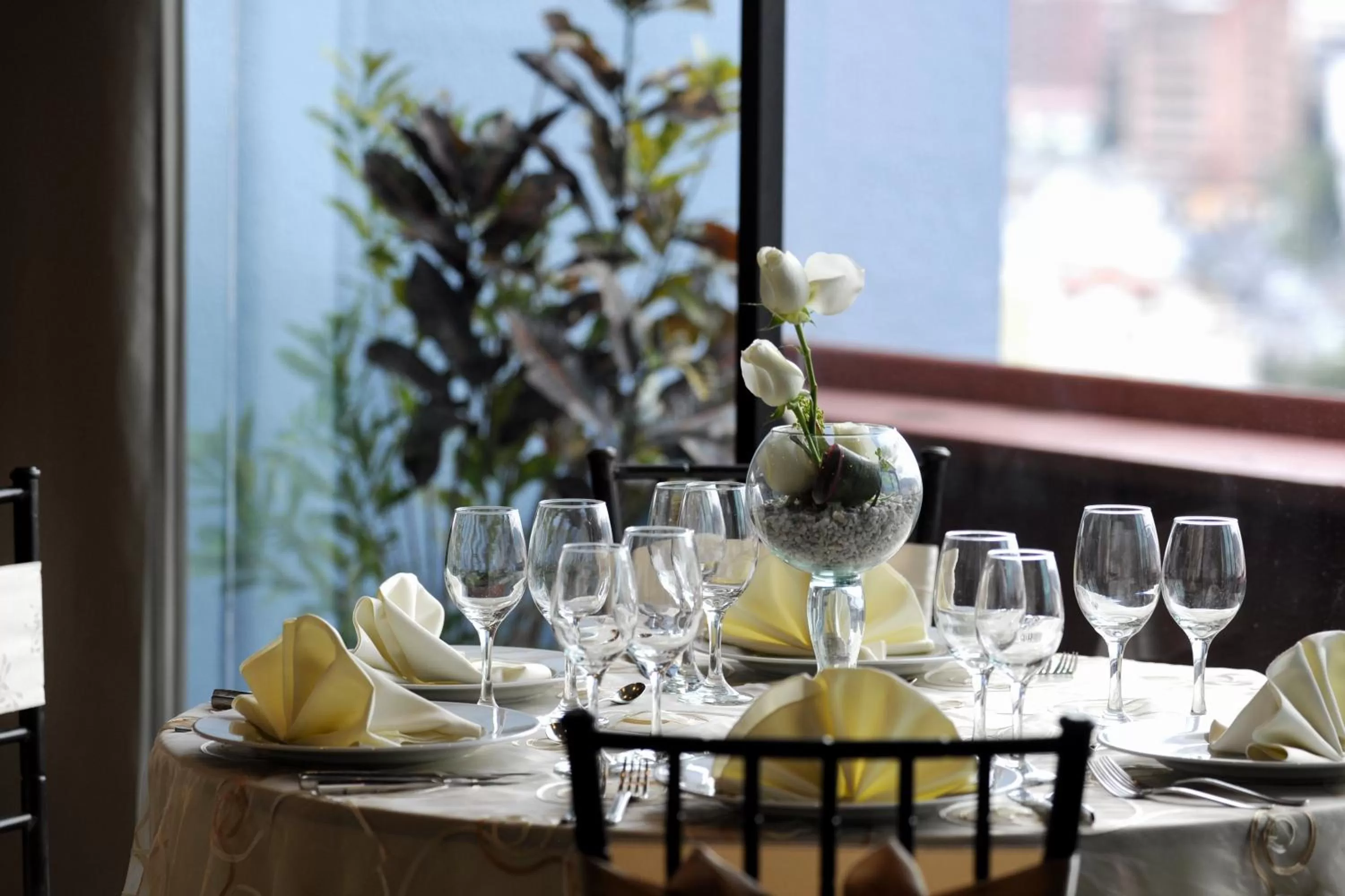 Restaurant/places to eat in Wyndham Garden Quito