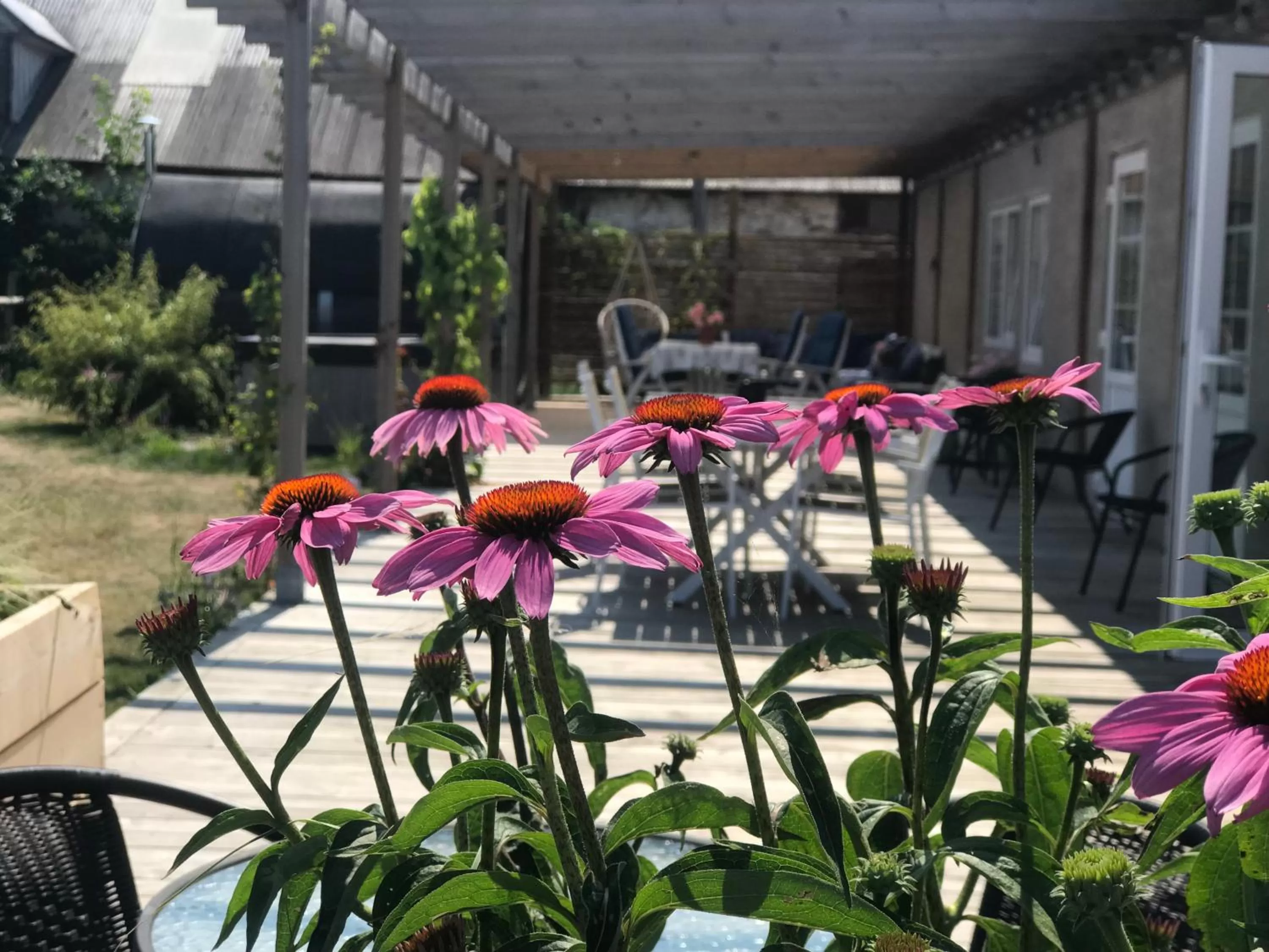 Property building in Ölands Yoga Studio & Islandshästar, Stugor & Rum