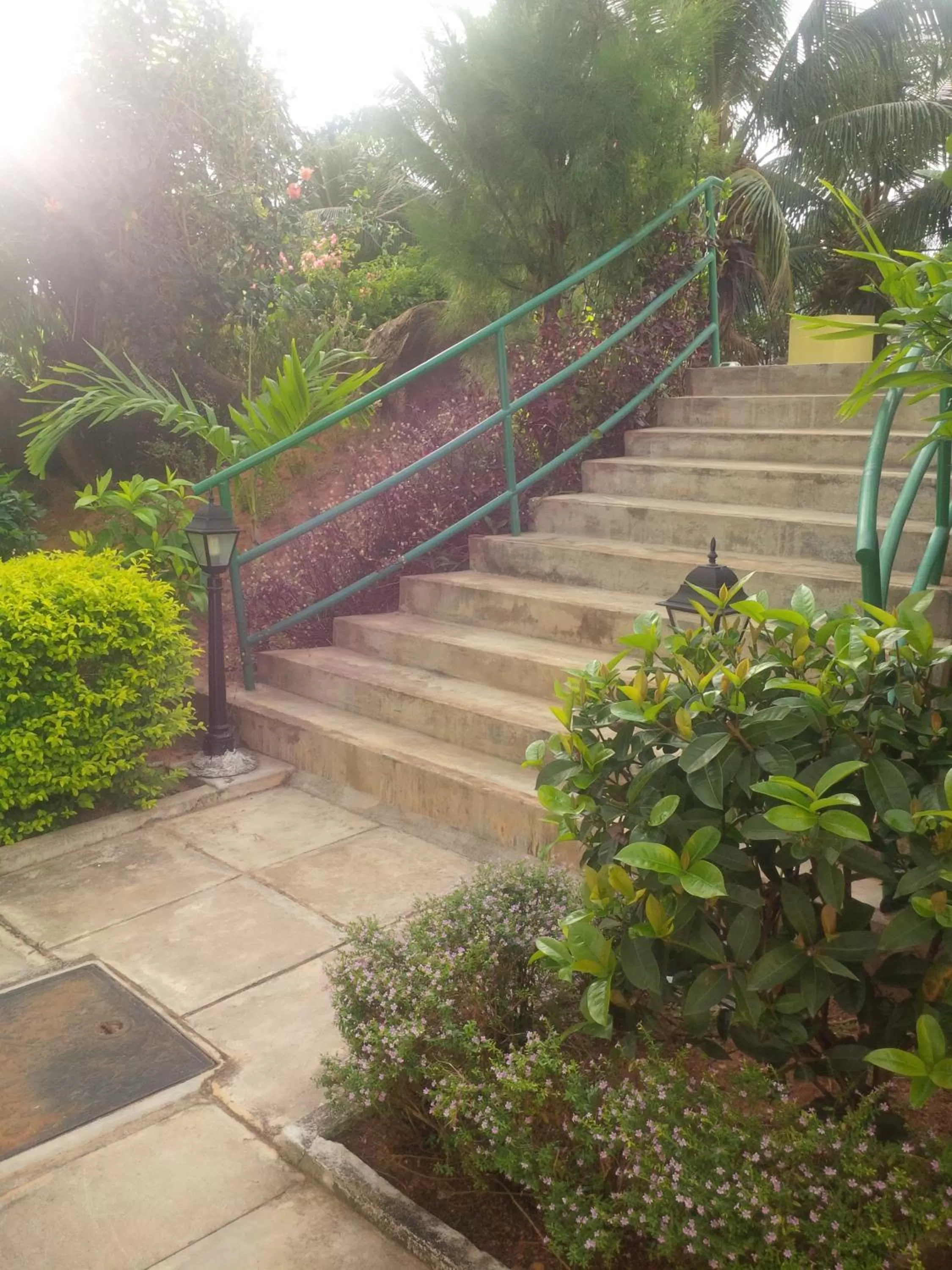 One-Bedroom Apartment with Garden View in Evergreen Apartments