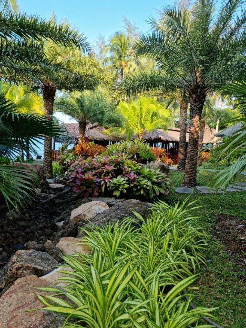 Garden in Coco Palm Beach Resort & Spa
