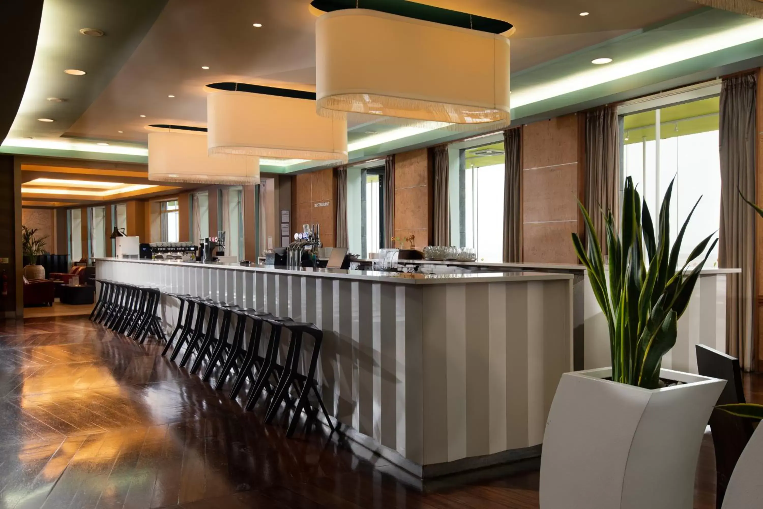 Lounge or bar, Lobby/Reception in Midland Hotel