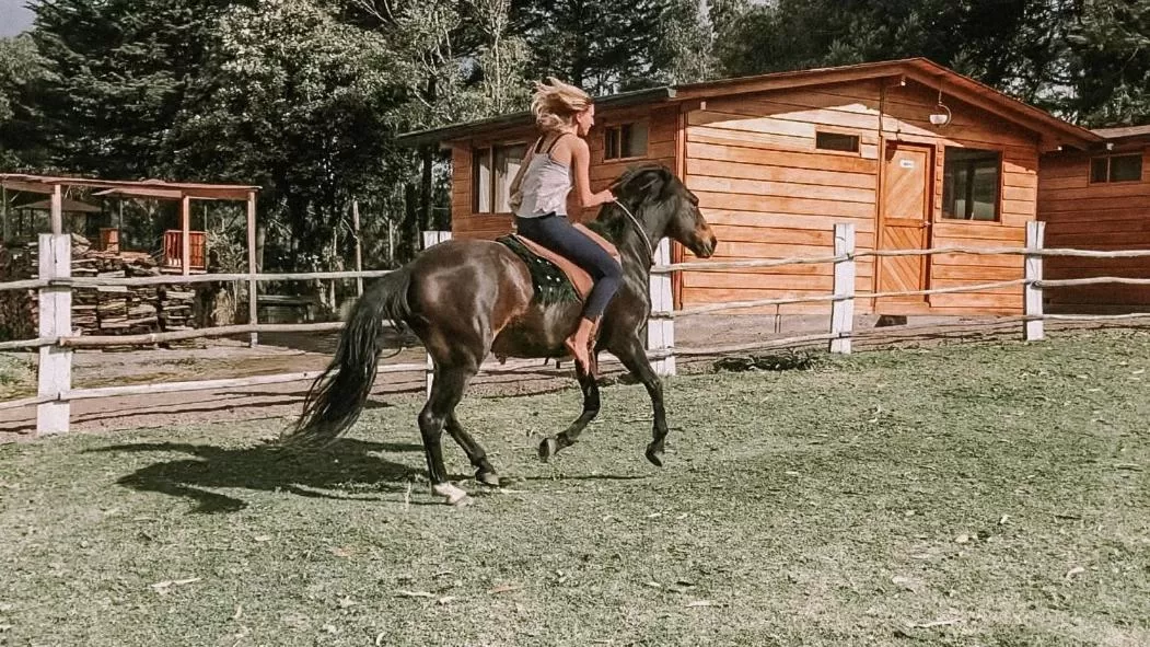 Hosteria Papagayo Cotopaxi