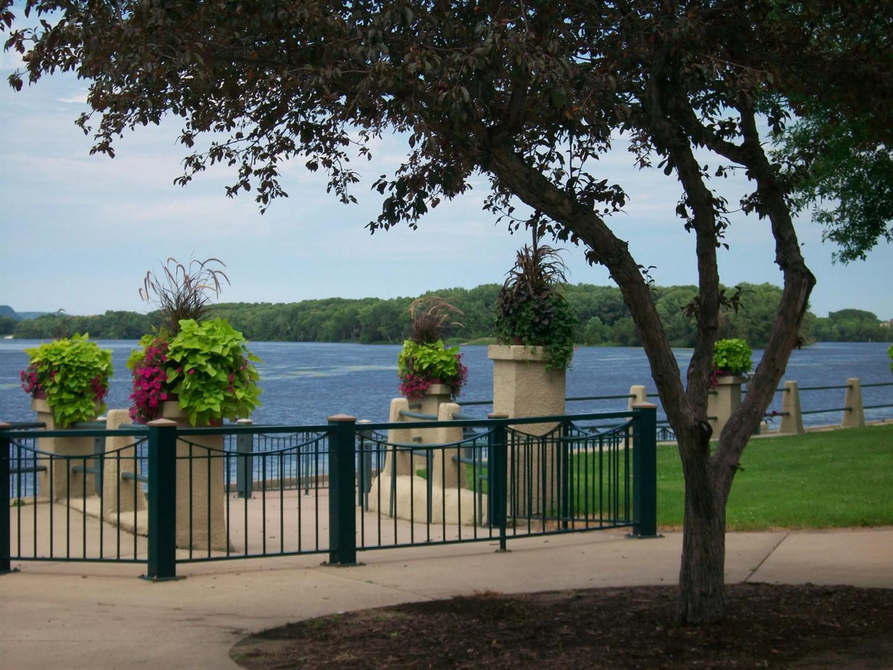 Natural landscape in Radisson Hotel La Crosse