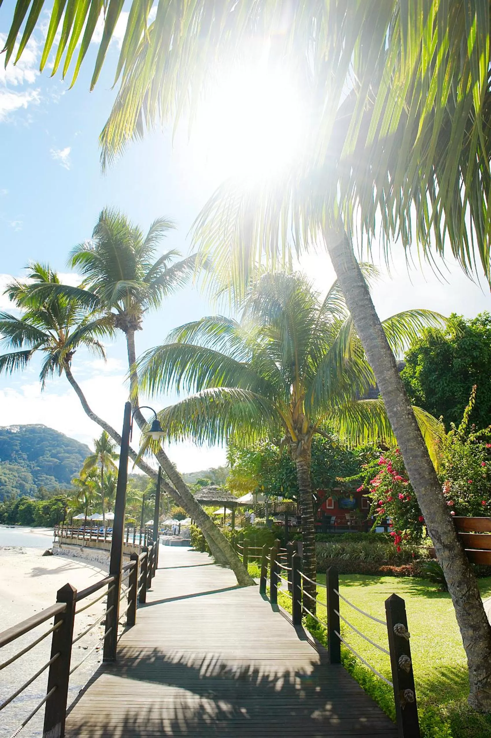 Garden in Fisherman's Cove Resort - closed for complete renovation - Visit our sister property STORY Seychelles for your stay