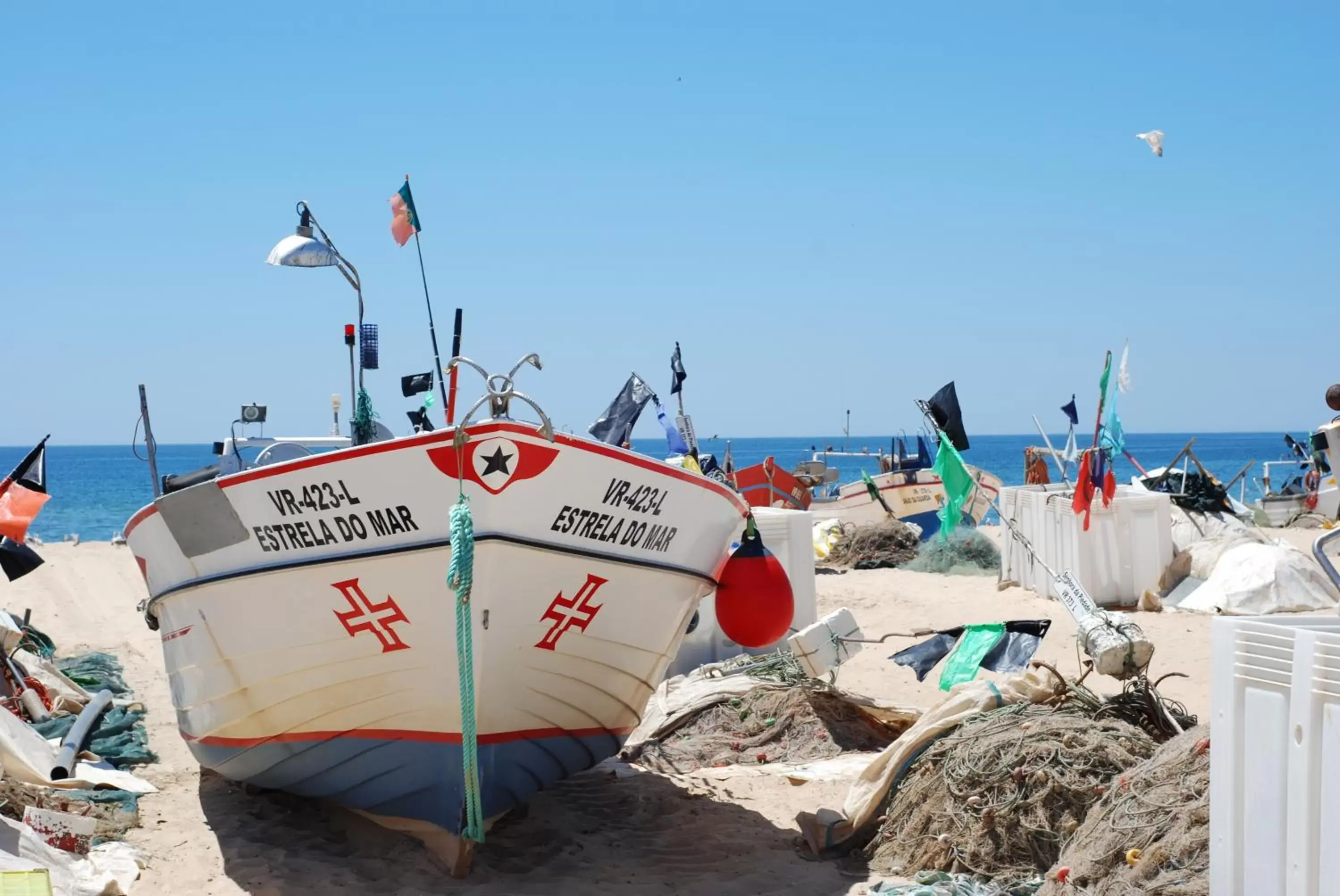 Beach in Hotel Alba