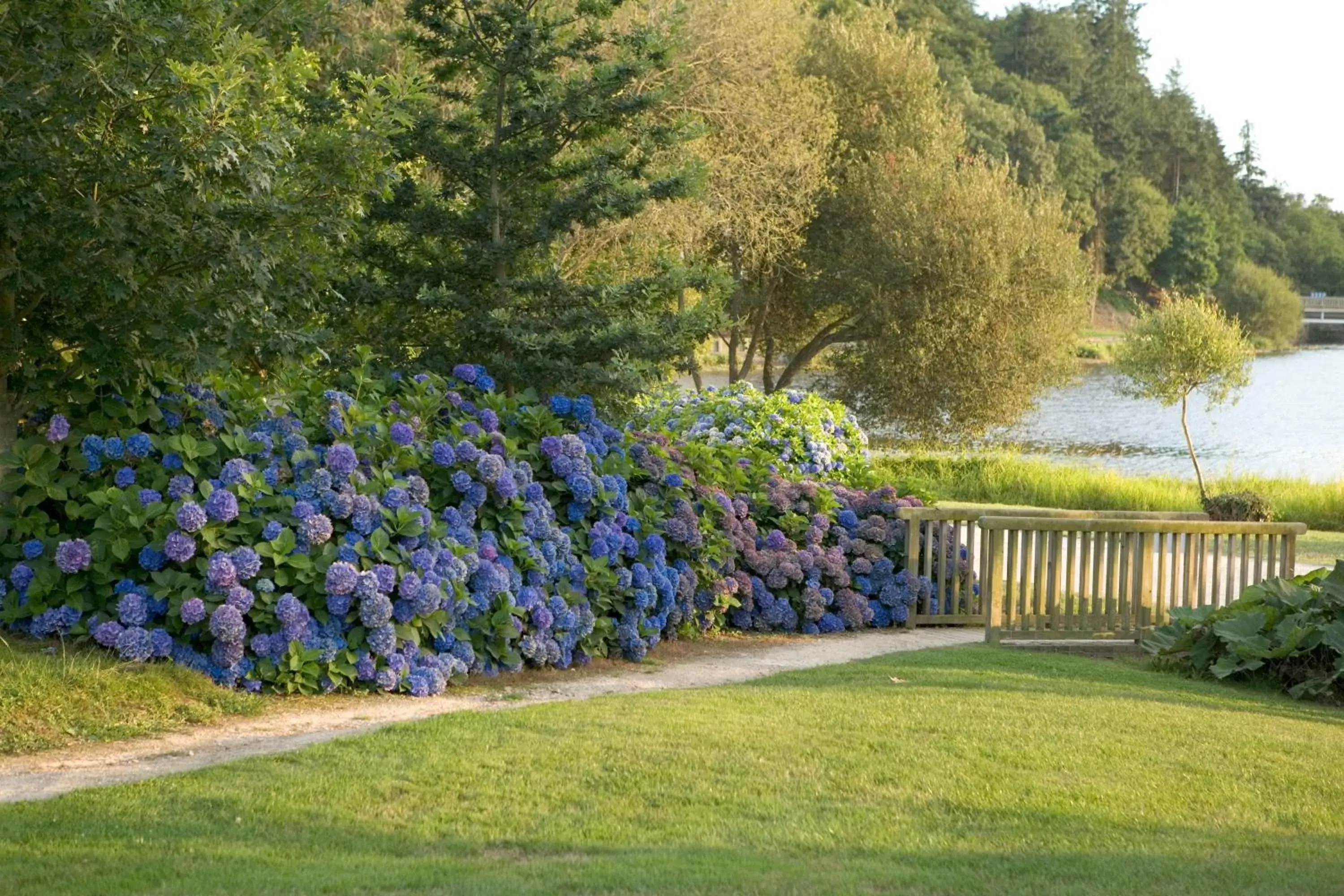 Garden in Résidence Lancelot