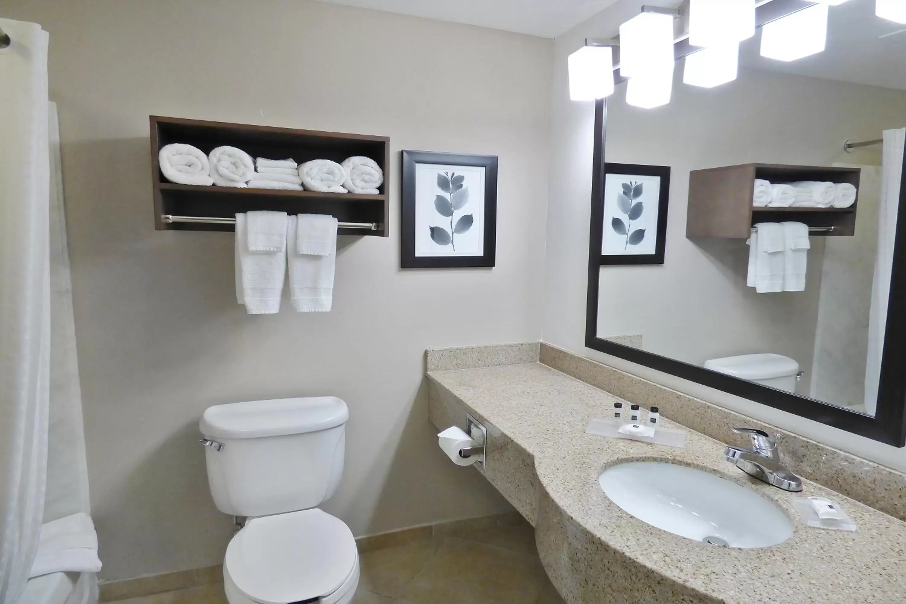 Bathroom in Country Inn & Suites by Radisson, Tampa/Brandon, FL