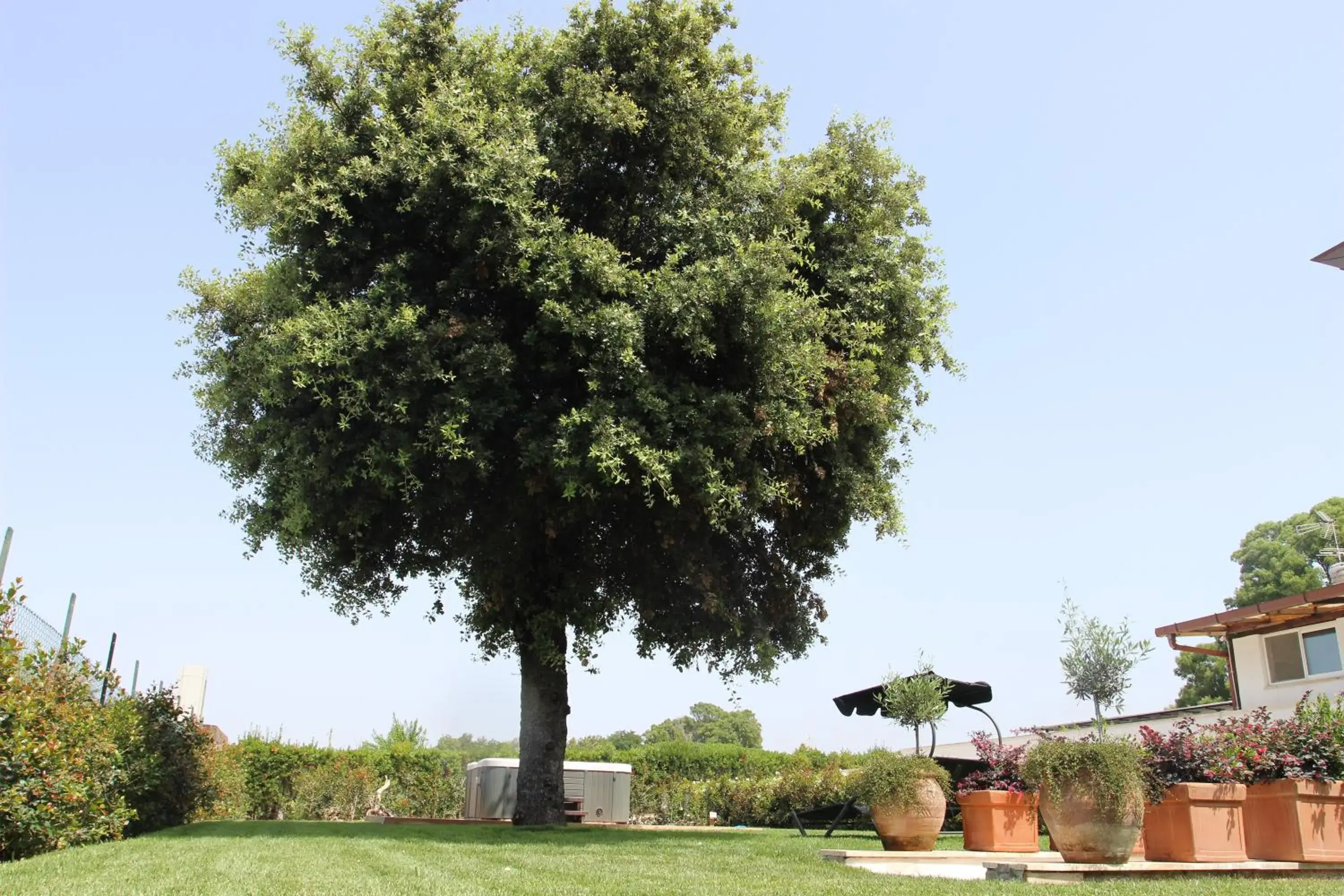 Open Air Bath, Garden in Love & Fama Hotel