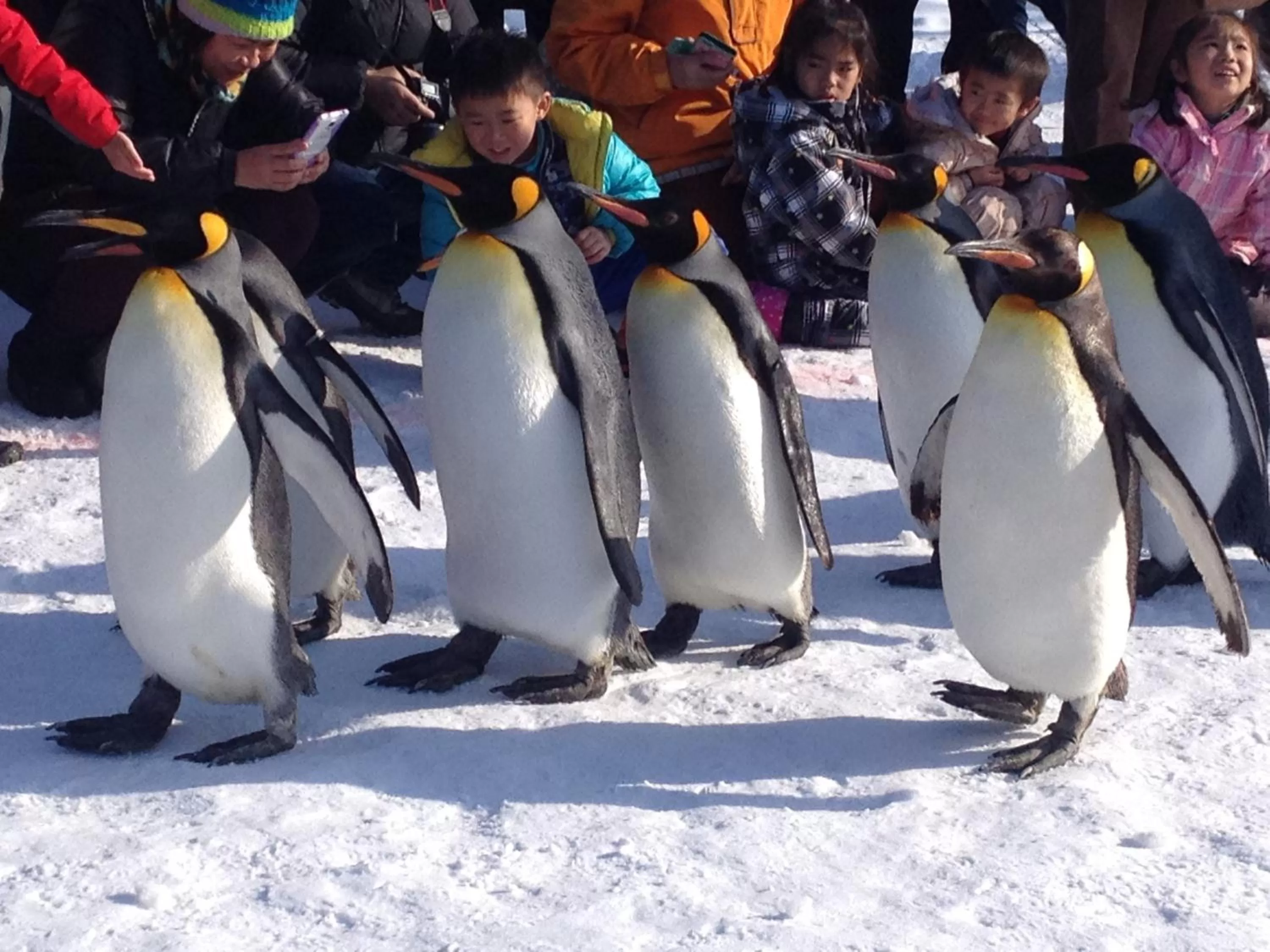 Area and facilities in Court Hotel Asahikawa
