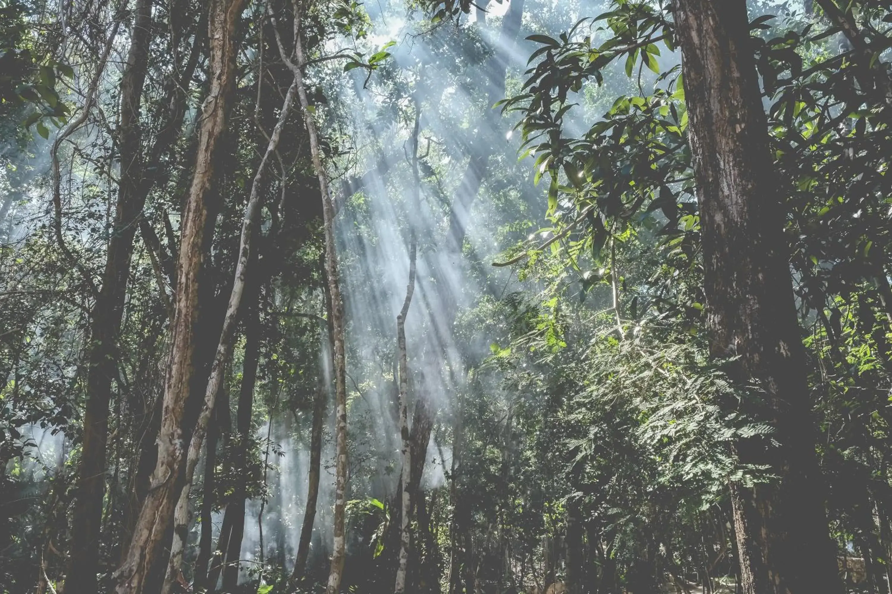 Natural landscape in Wakax Hacienda - Cenote & Boutique Hotel