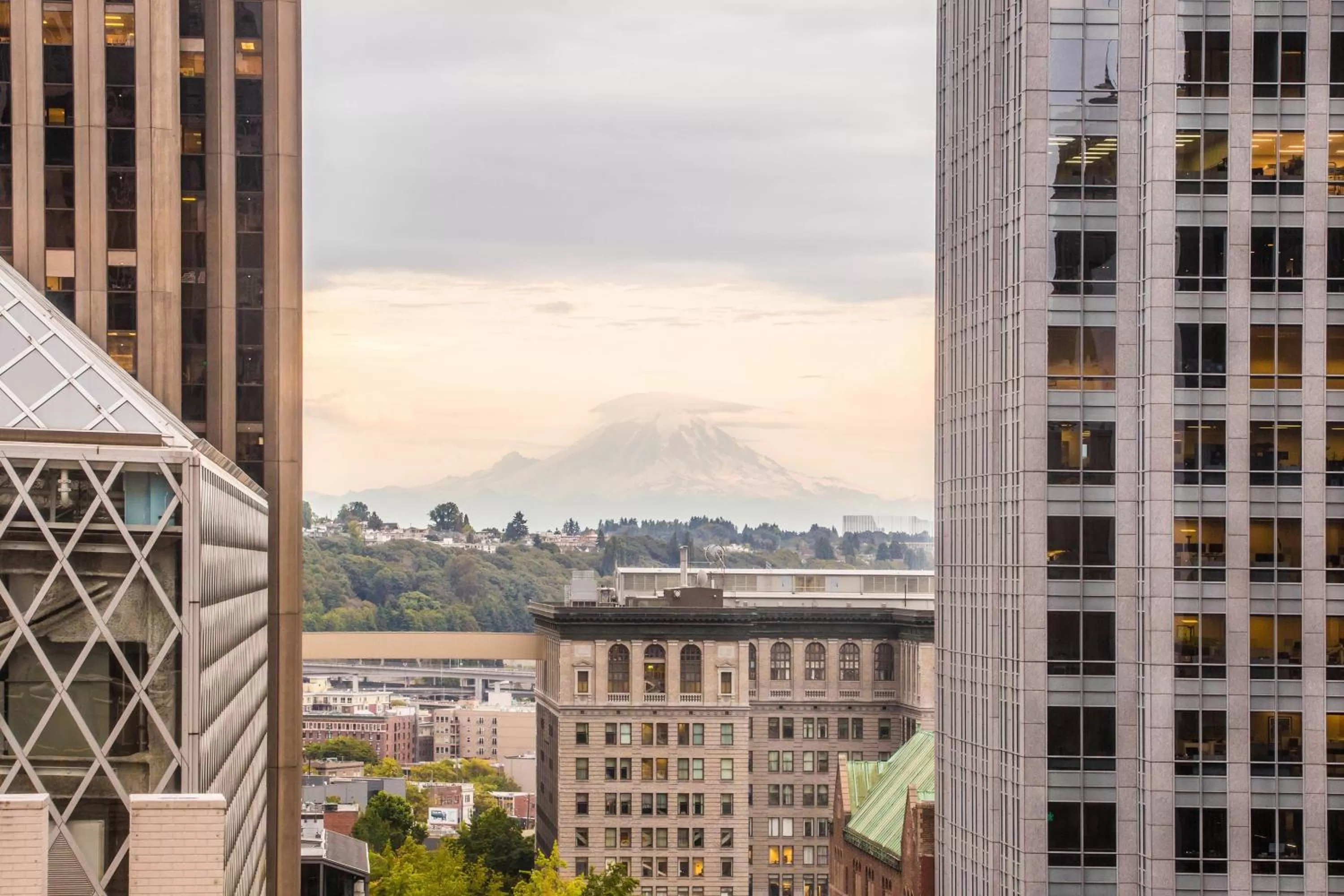 Photo of the whole room in W Seattle