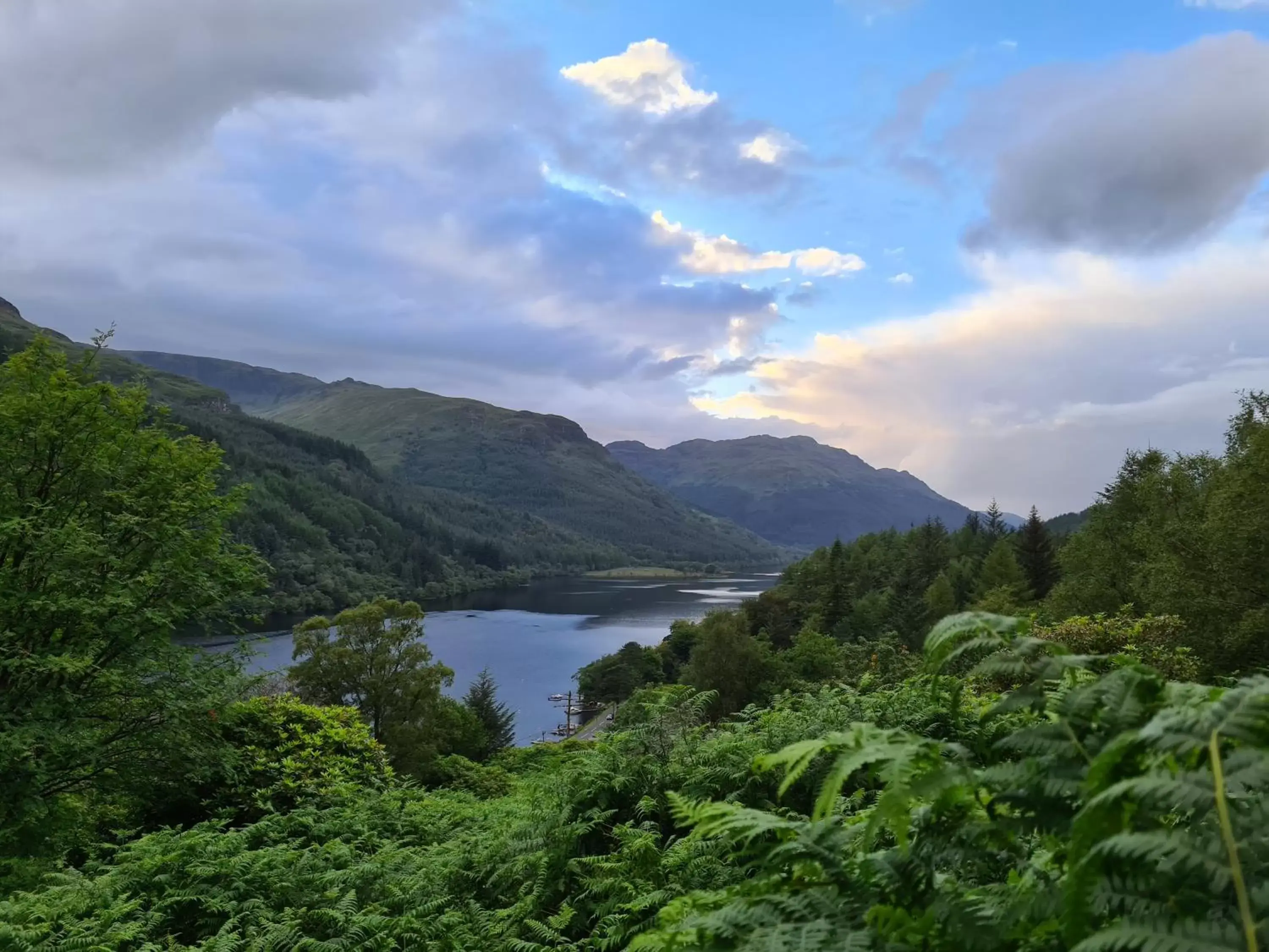 Natural Landscape in The Coylet Inn by Loch Eck