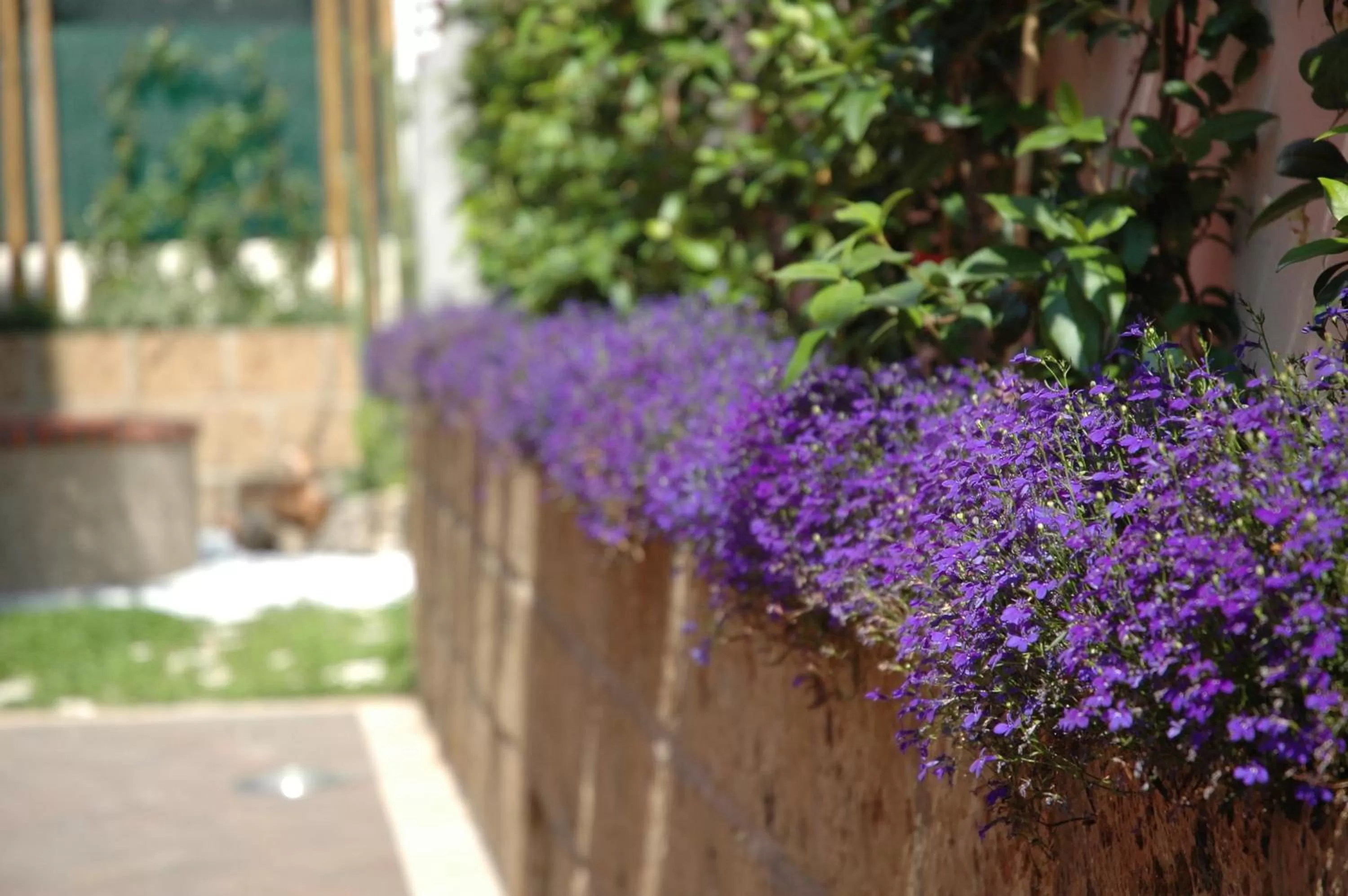 Decorative detail in Residenza Glave