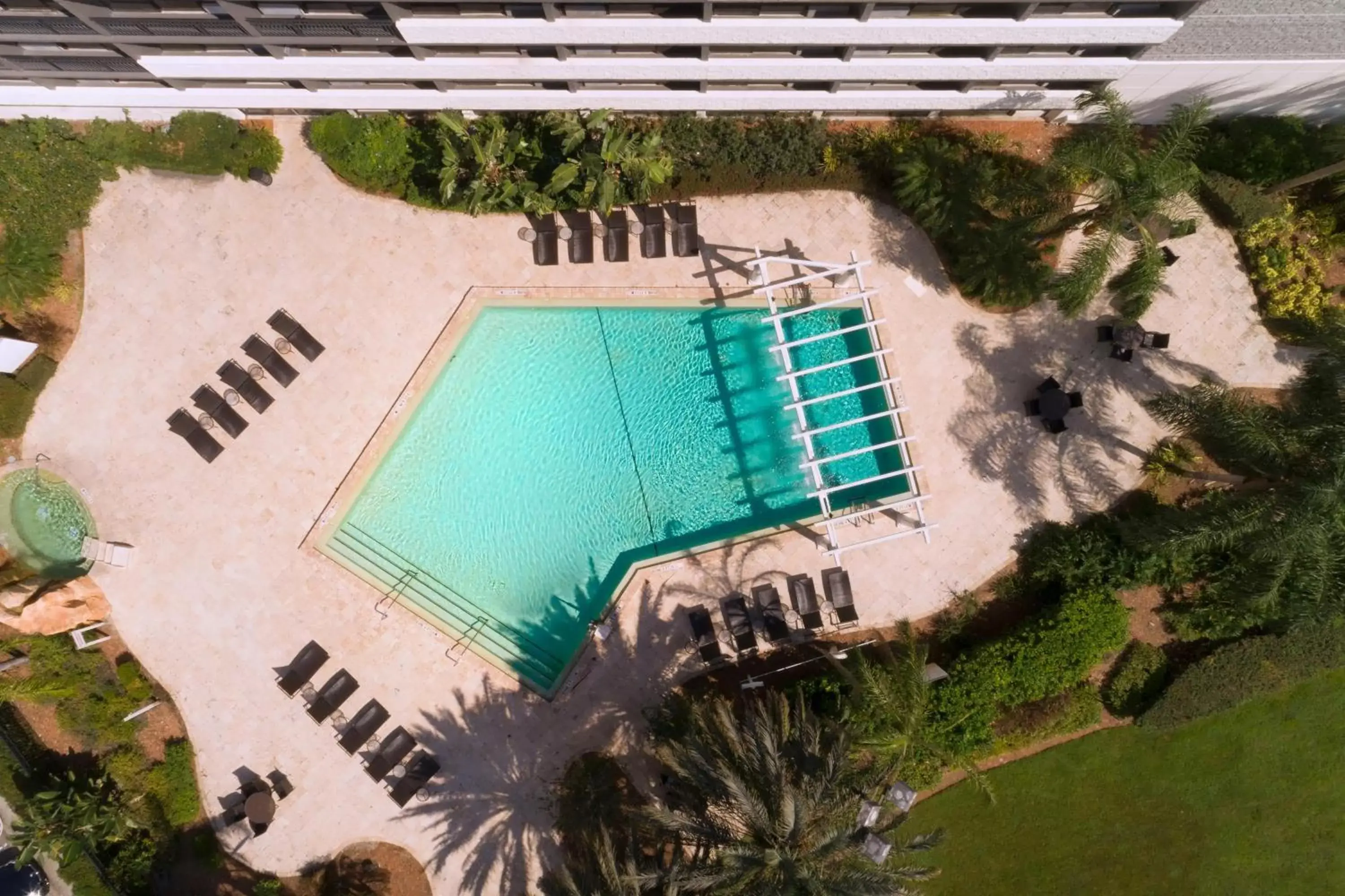 Swimming pool, Pool View in Sheraton Orlando North