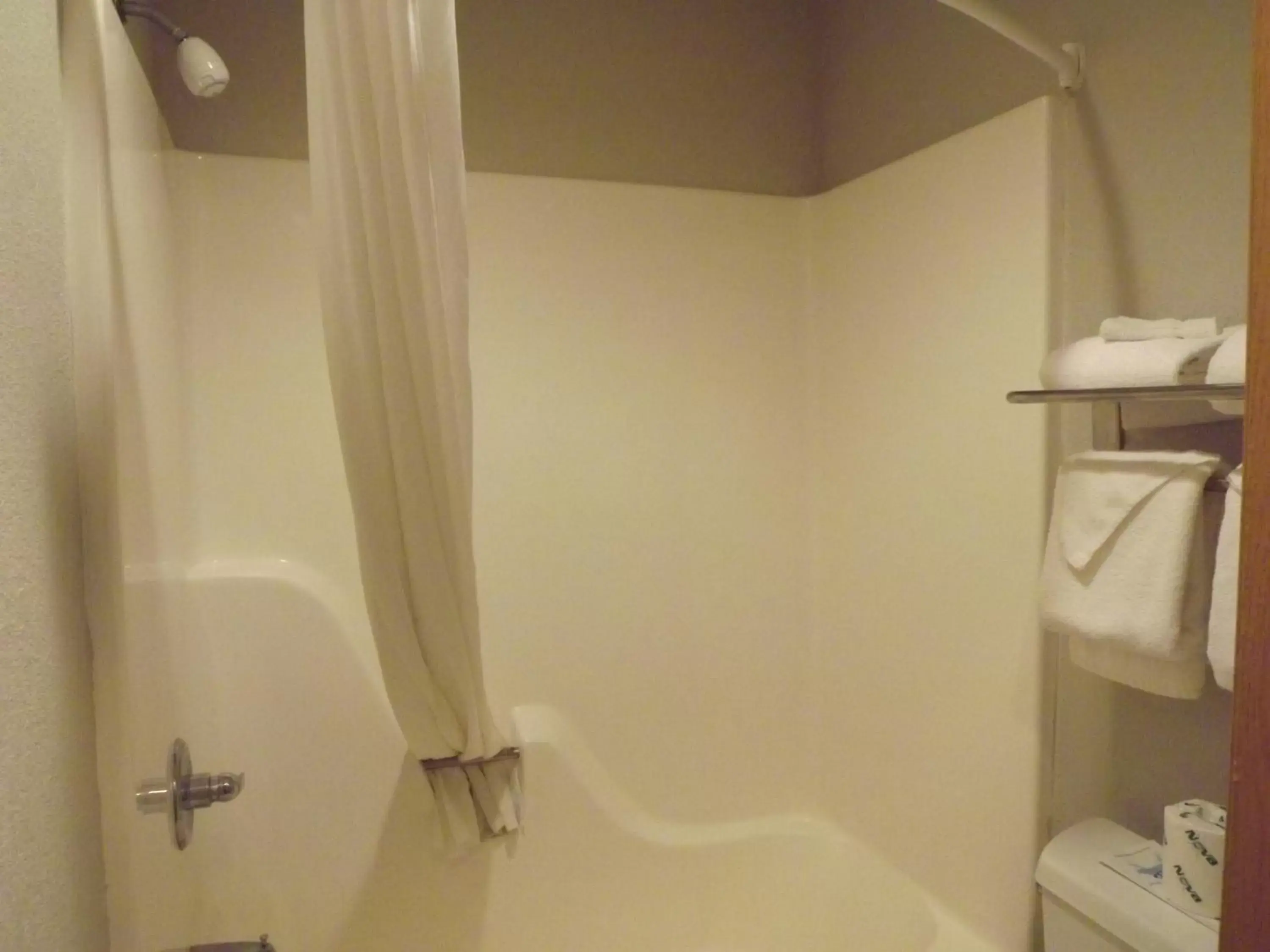 Bathroom in MICROTEL Inn and Suites - Ames