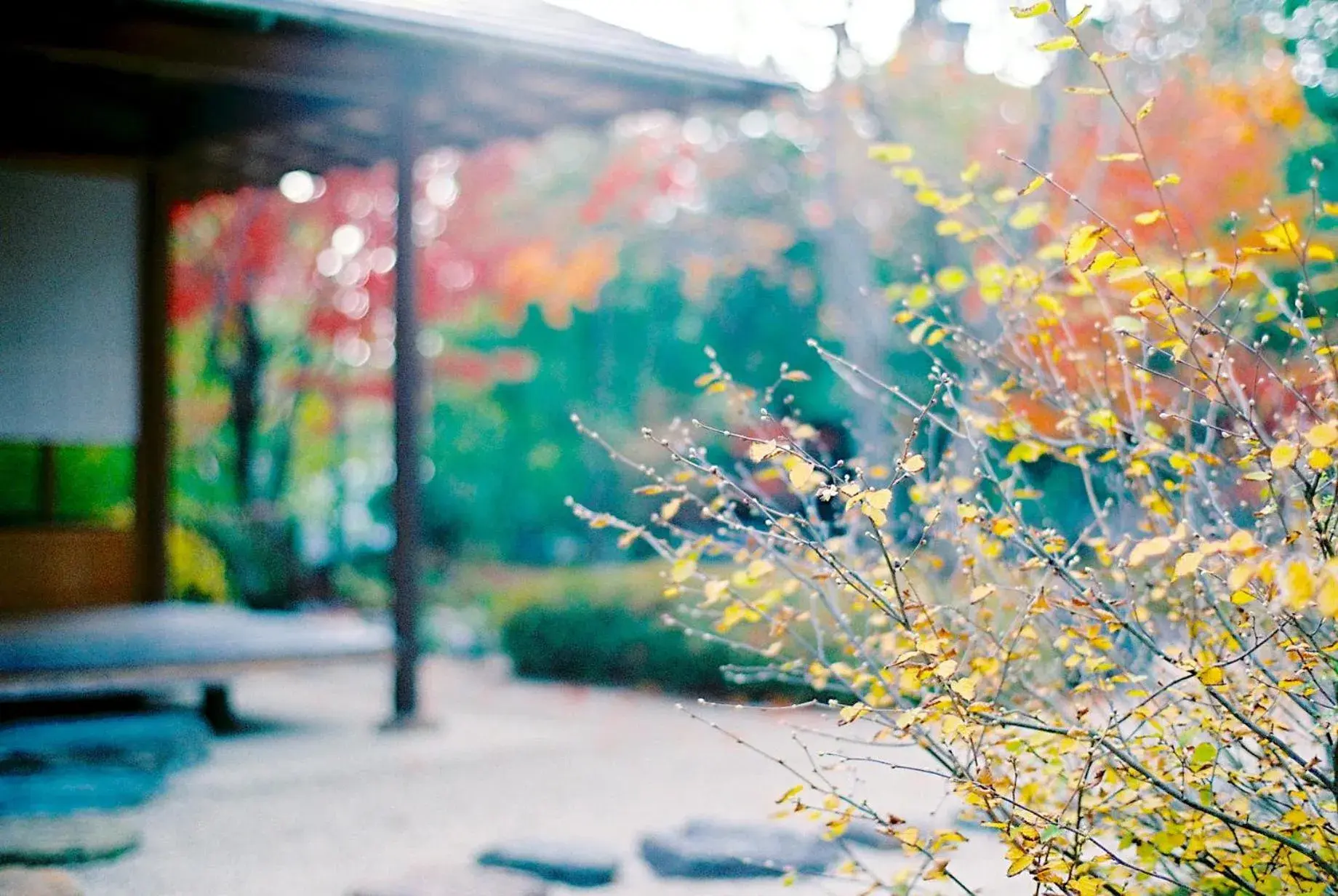 Garden in Ryokan Genhouin