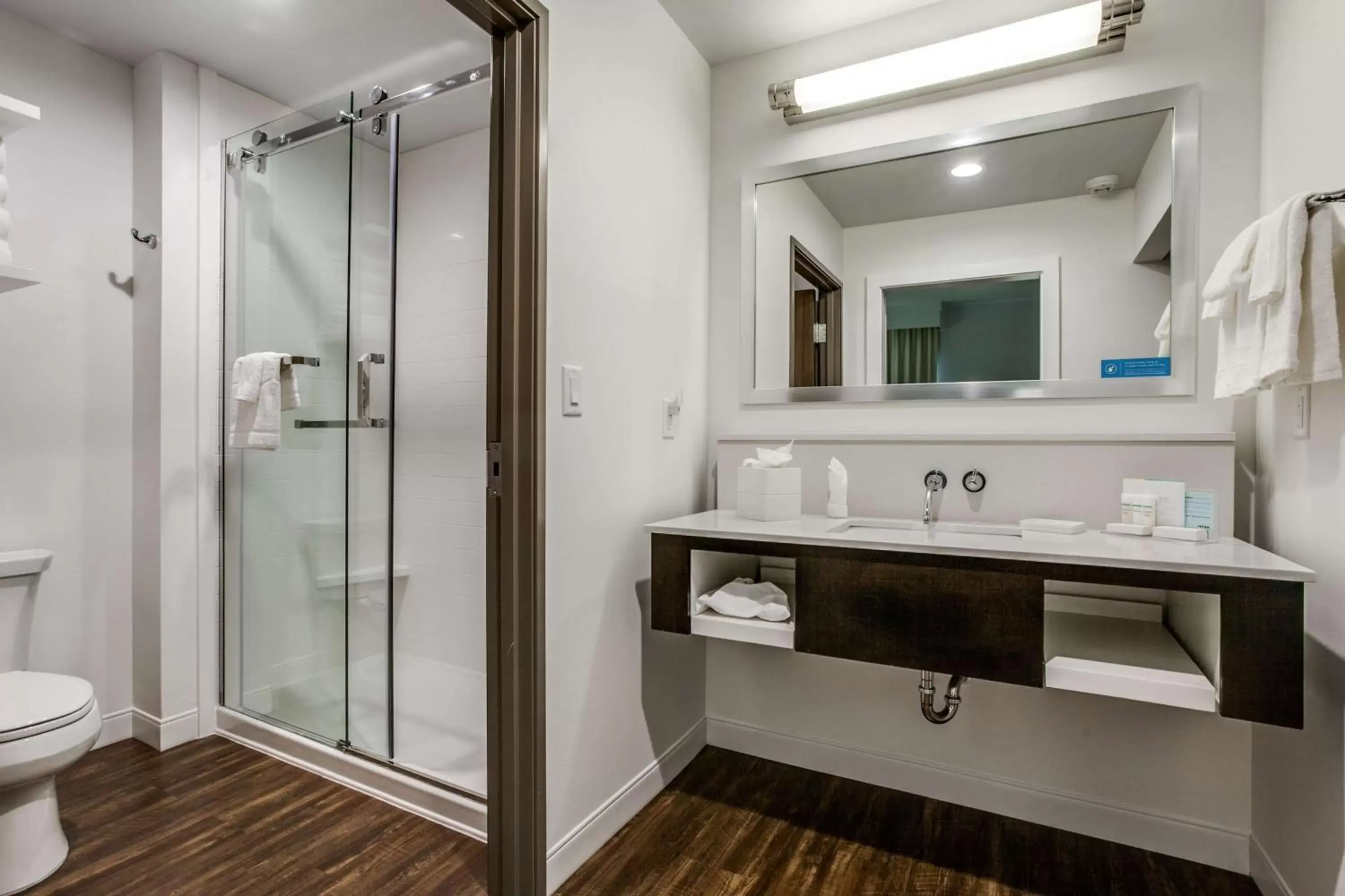 Bathroom in Hampton Inn & Suites Dallas-Central Expy/North Park Area