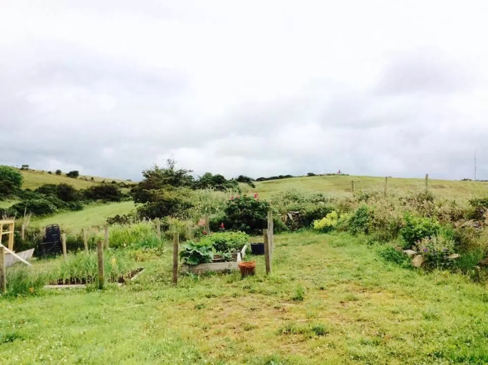 Property building in Holland House F94DP26