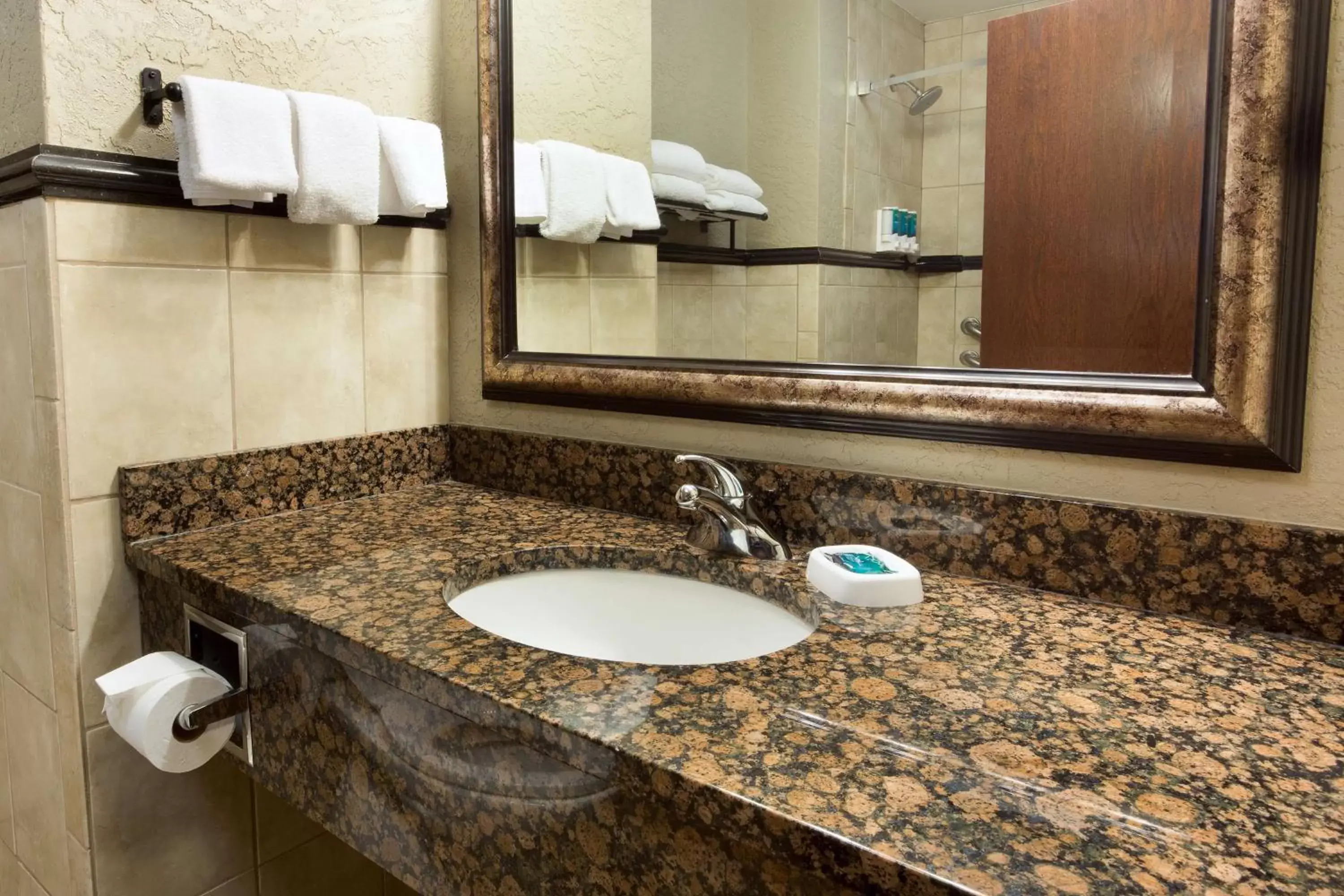 Bathroom in Drury Inn & Suites Flagstaff