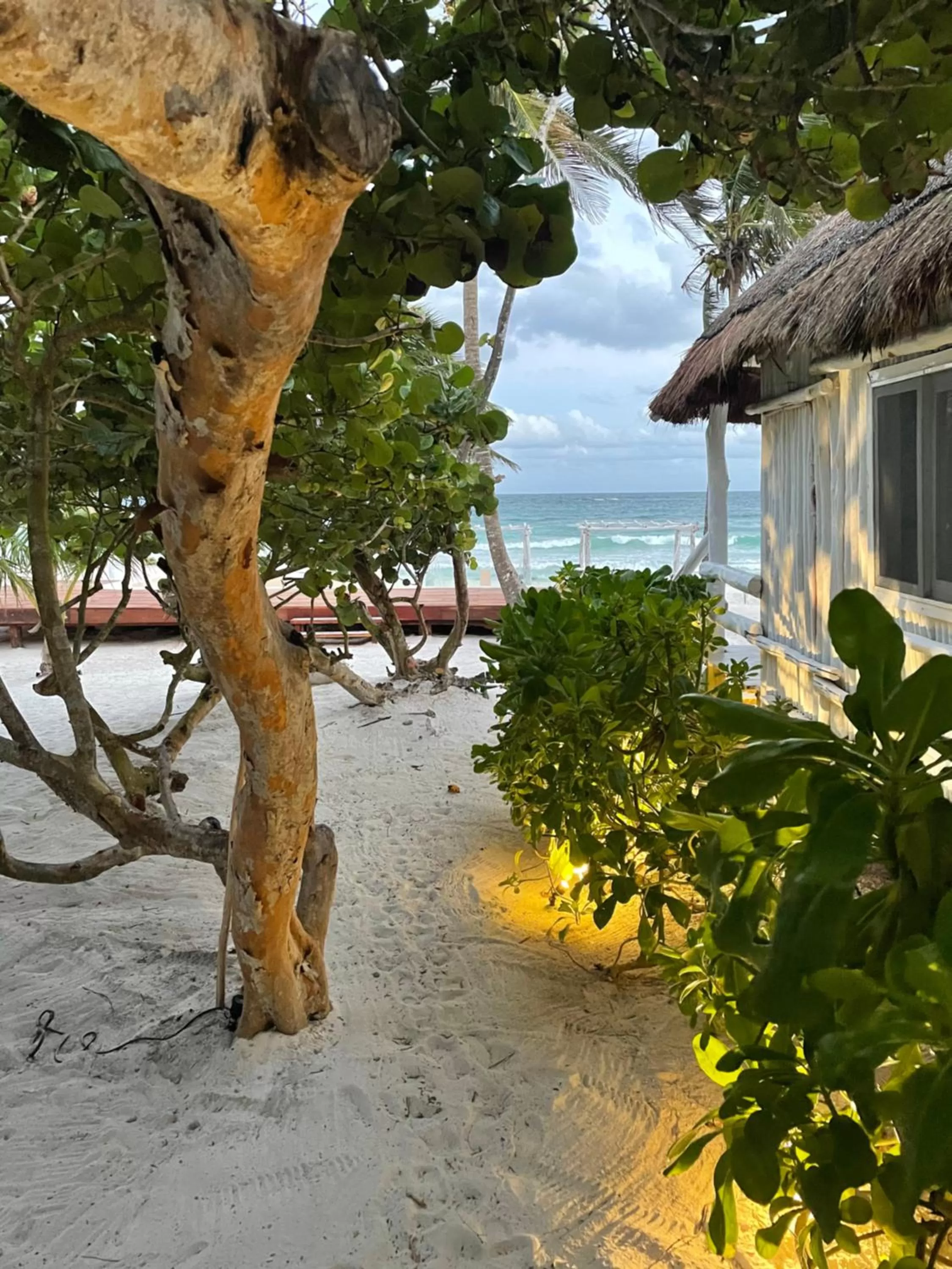 Garden in Roc Luxe Tulum