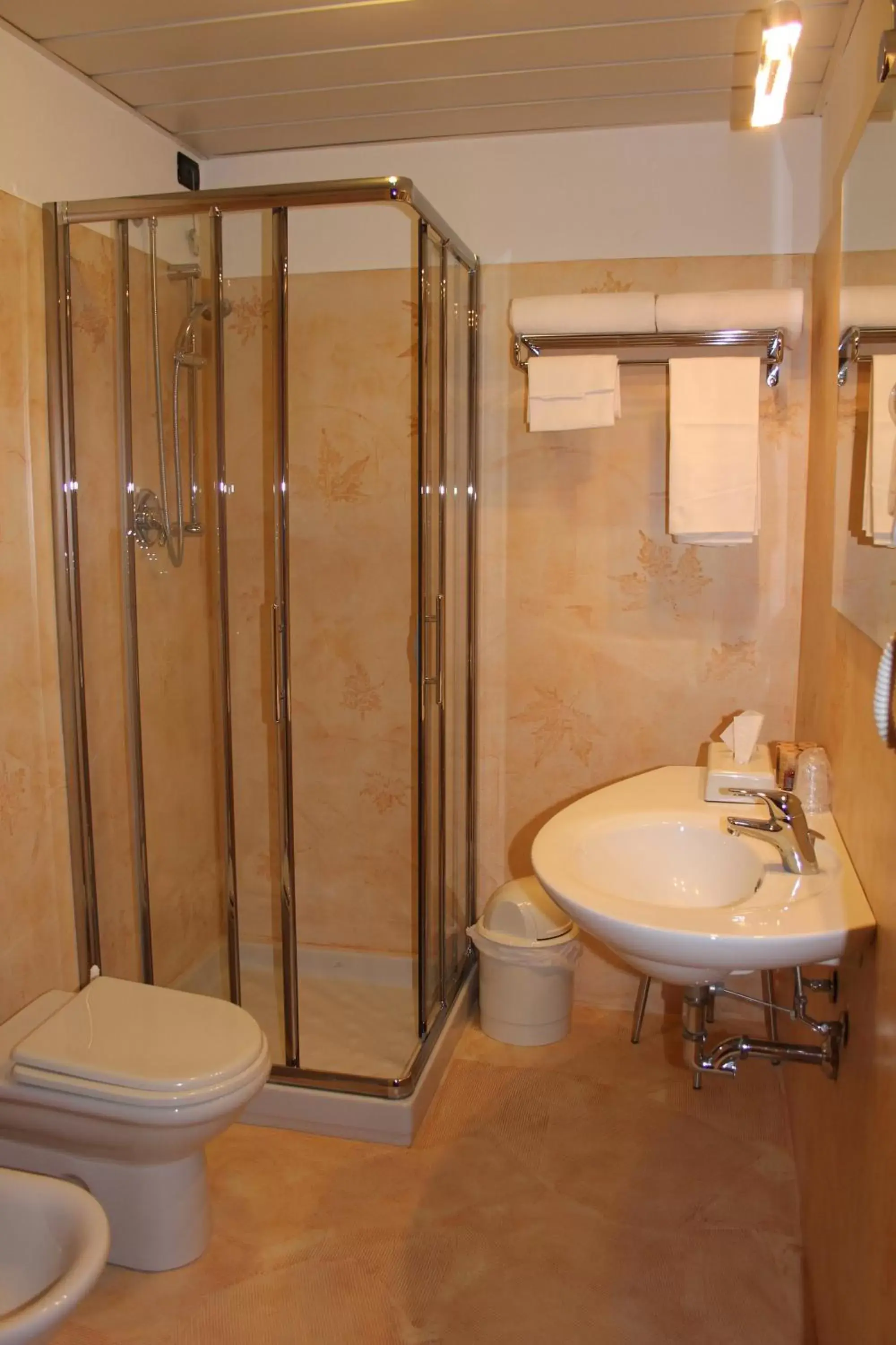 Shower, Bathroom in Hotel Riz B.B