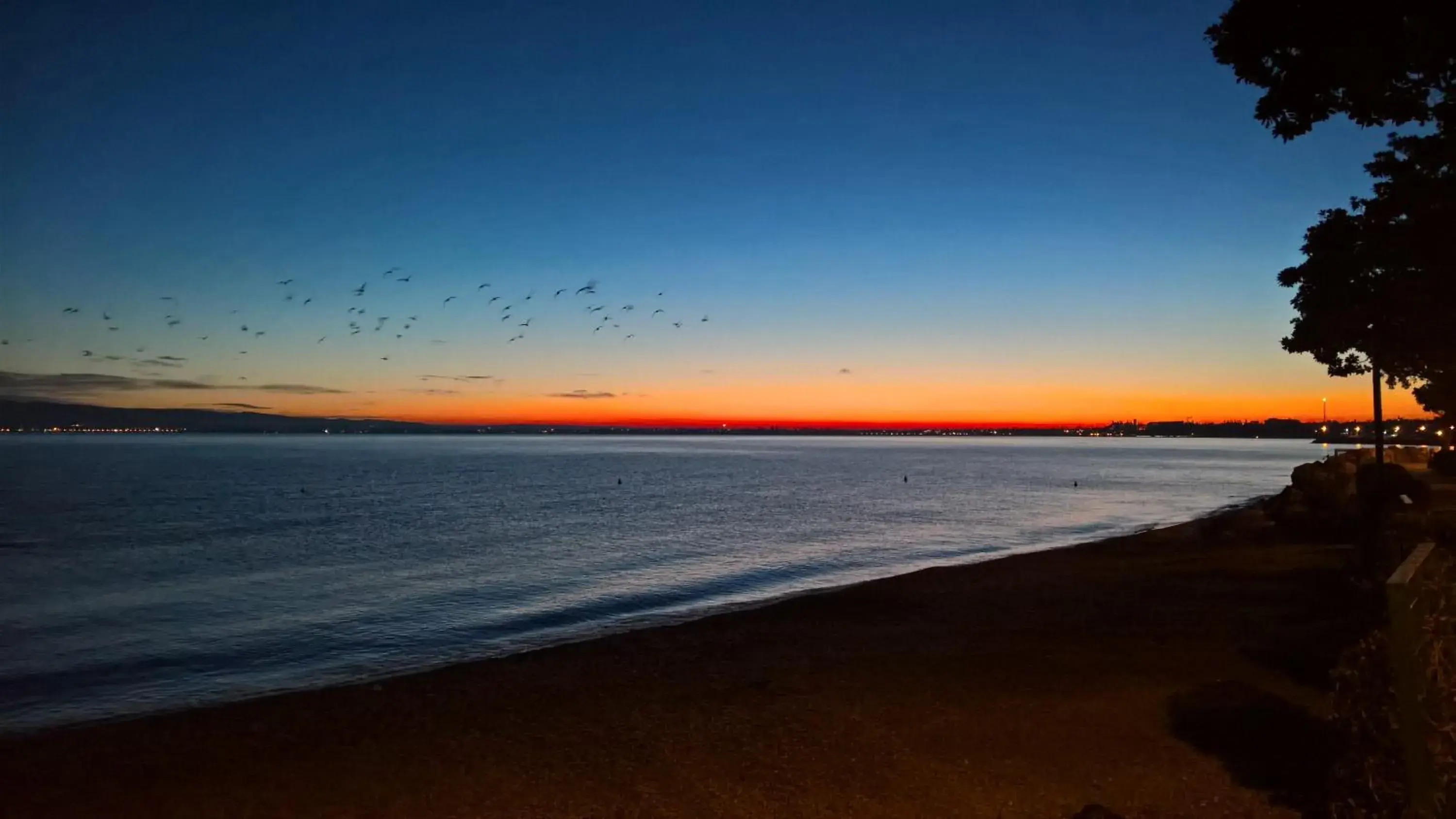 Beach in Hotel Riviera