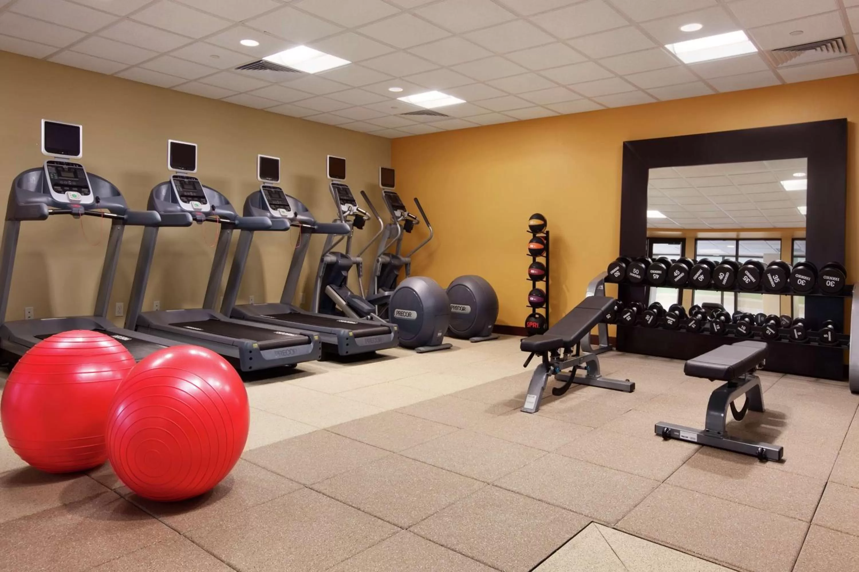 Fitness centre/facilities in Hilton Asheville Biltmore Park