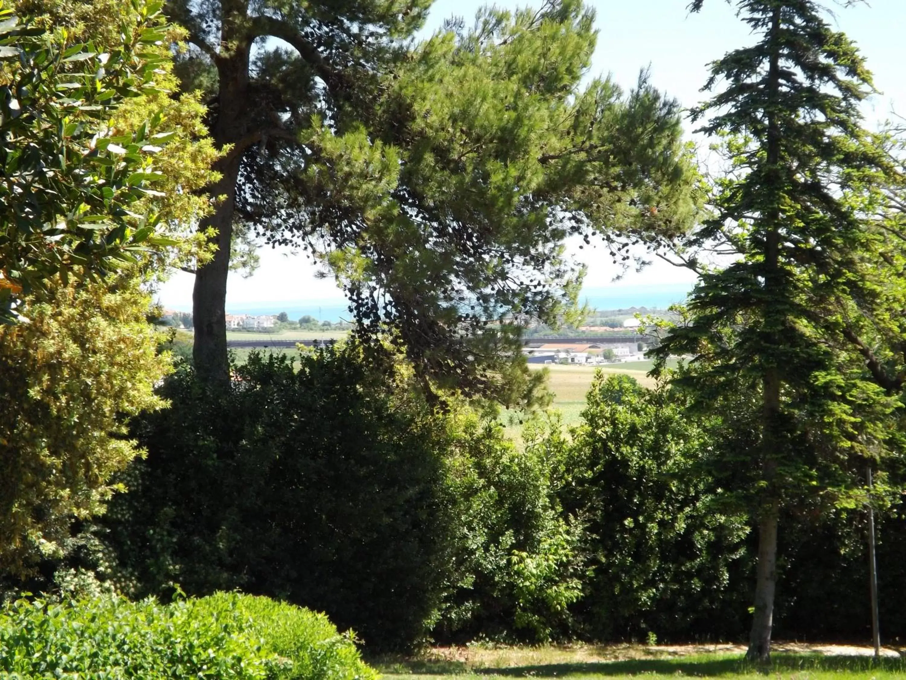 Sea view, Garden in Tenuta Villa Colle Sereno