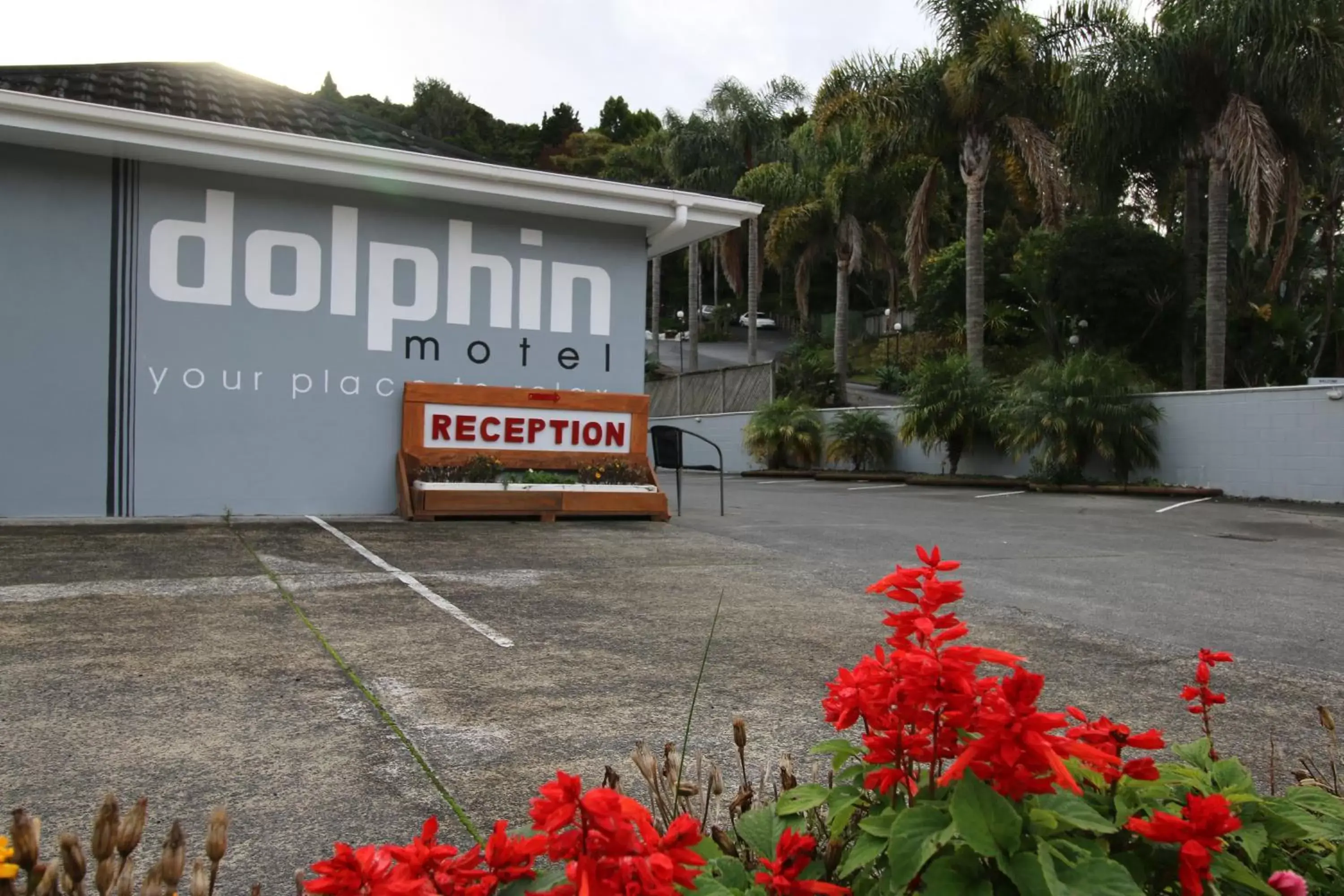 Property Building in Dolphin Motel