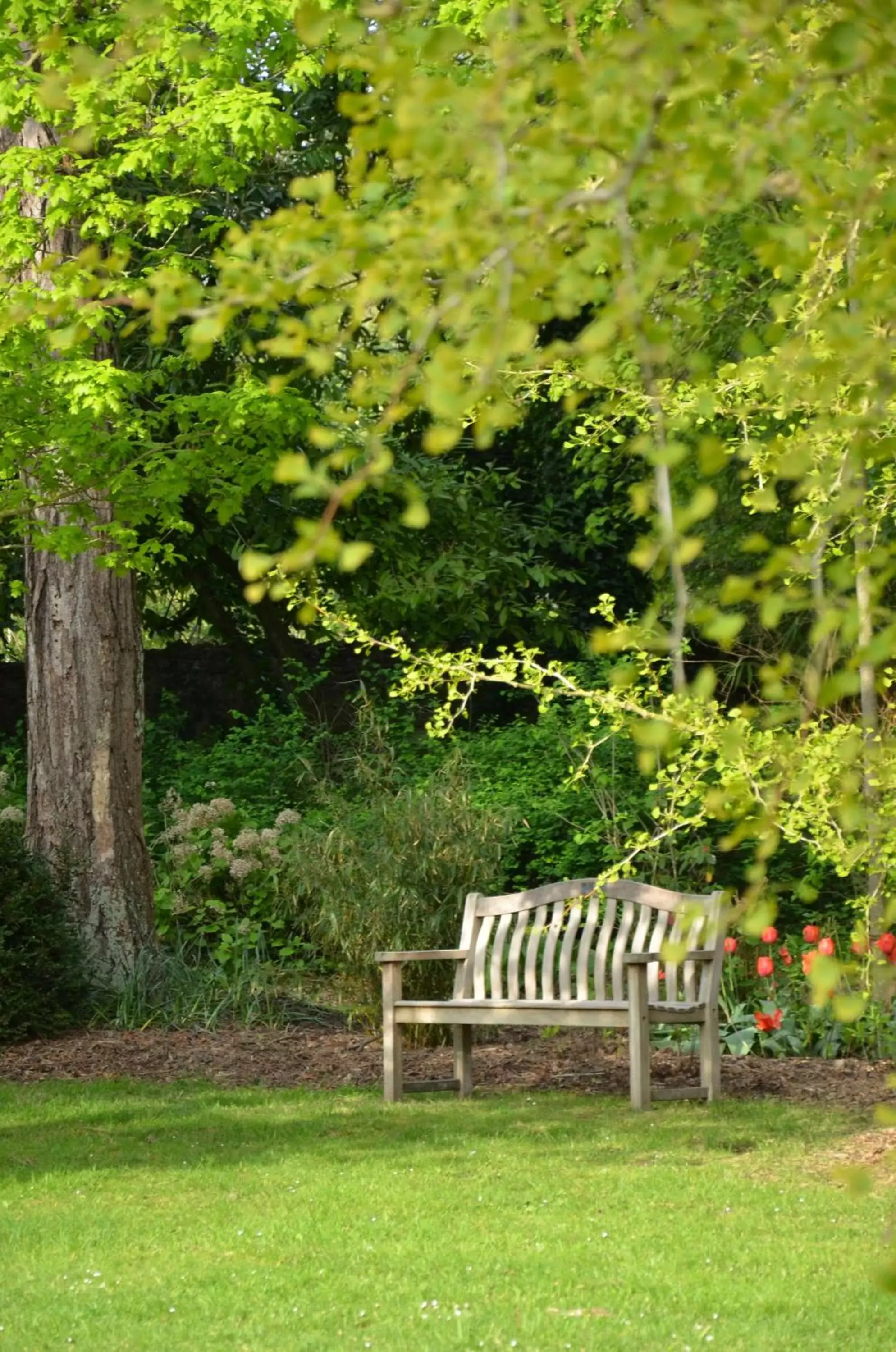 Garden in Chateau La Cheneviere