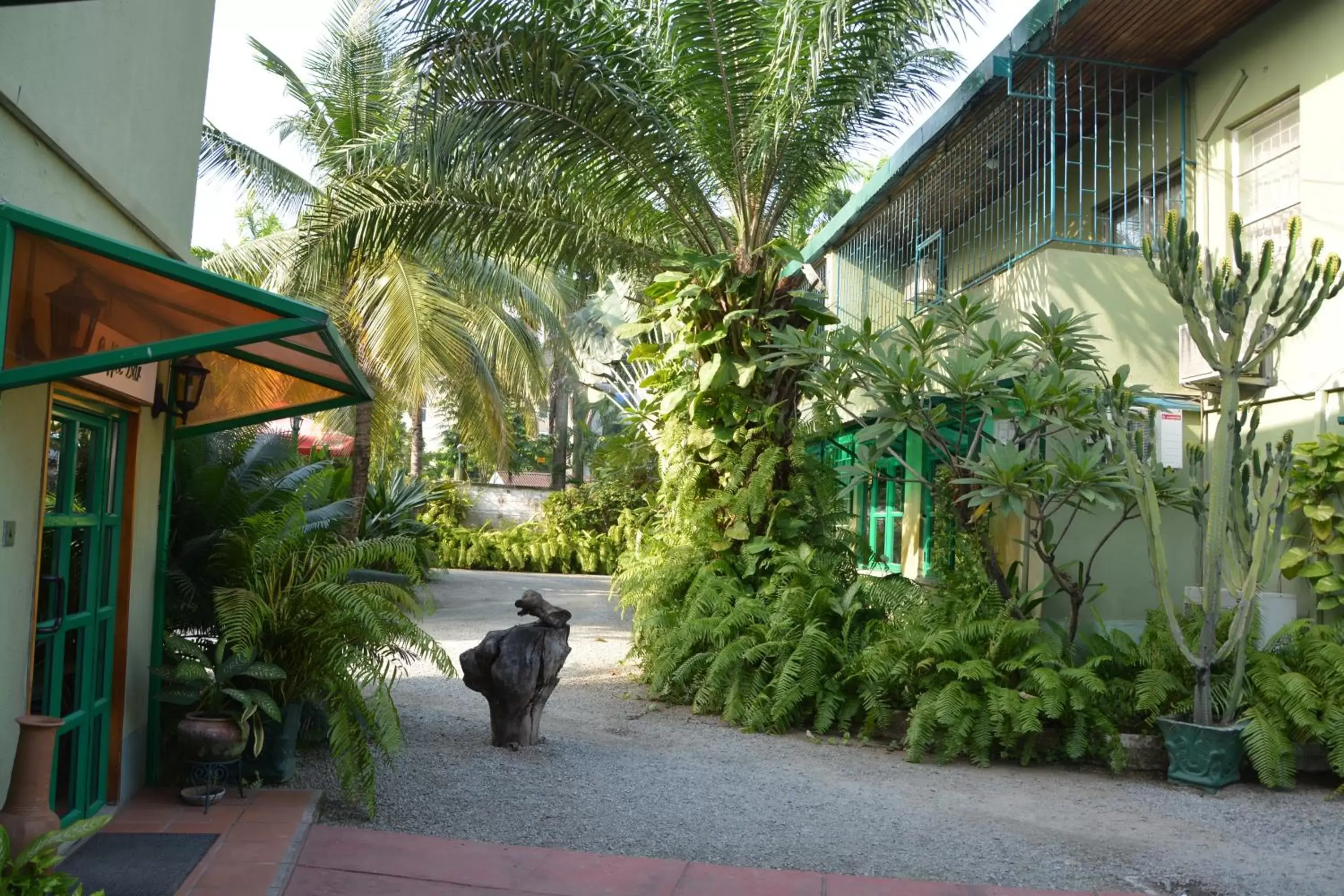 Garden view in Manuela Residence Garden view in Manuela Residence