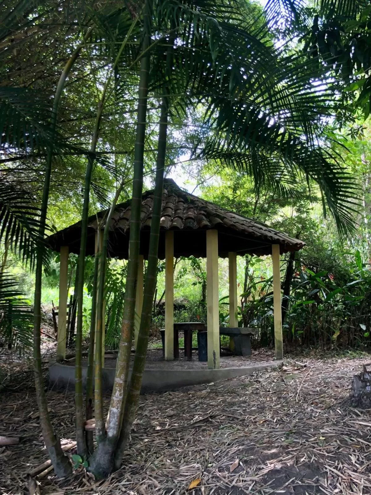 Natural landscape in Pousada Aba da Serra